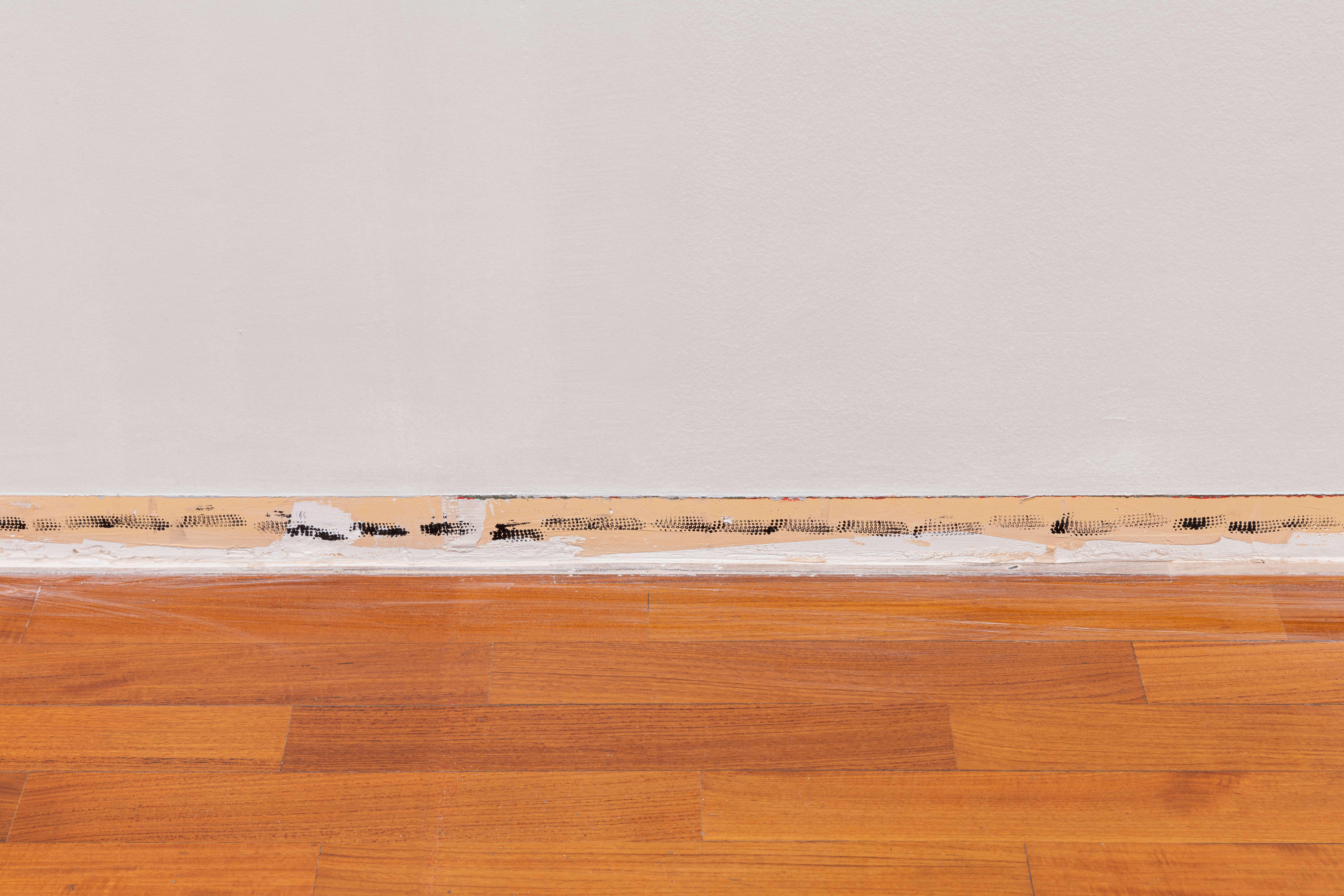Line of small black stars printed along the base of a grey wall above a wooden floor
