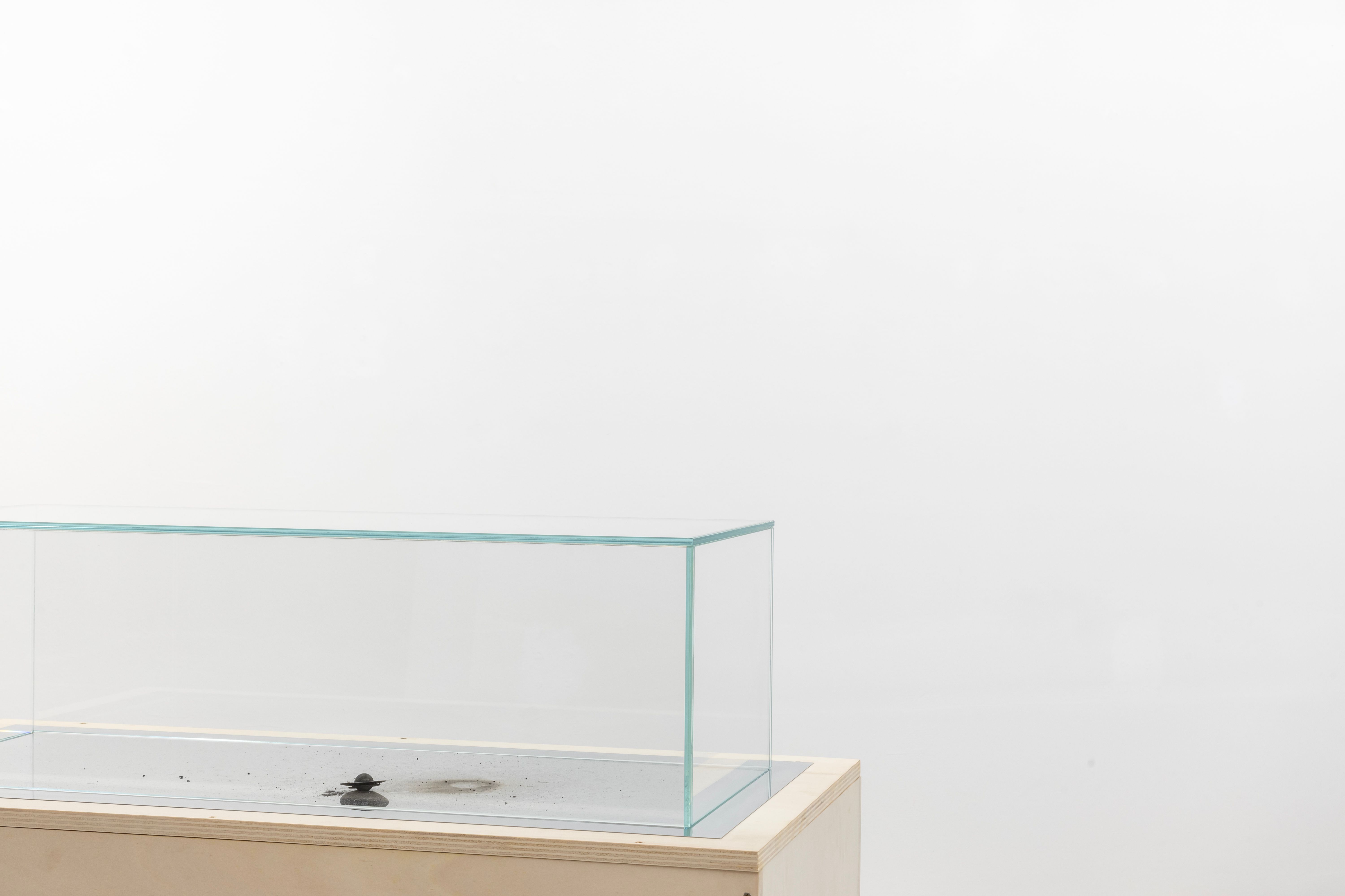 Glass case on a wooden crate with a burnt firecracker inside, against a white wall