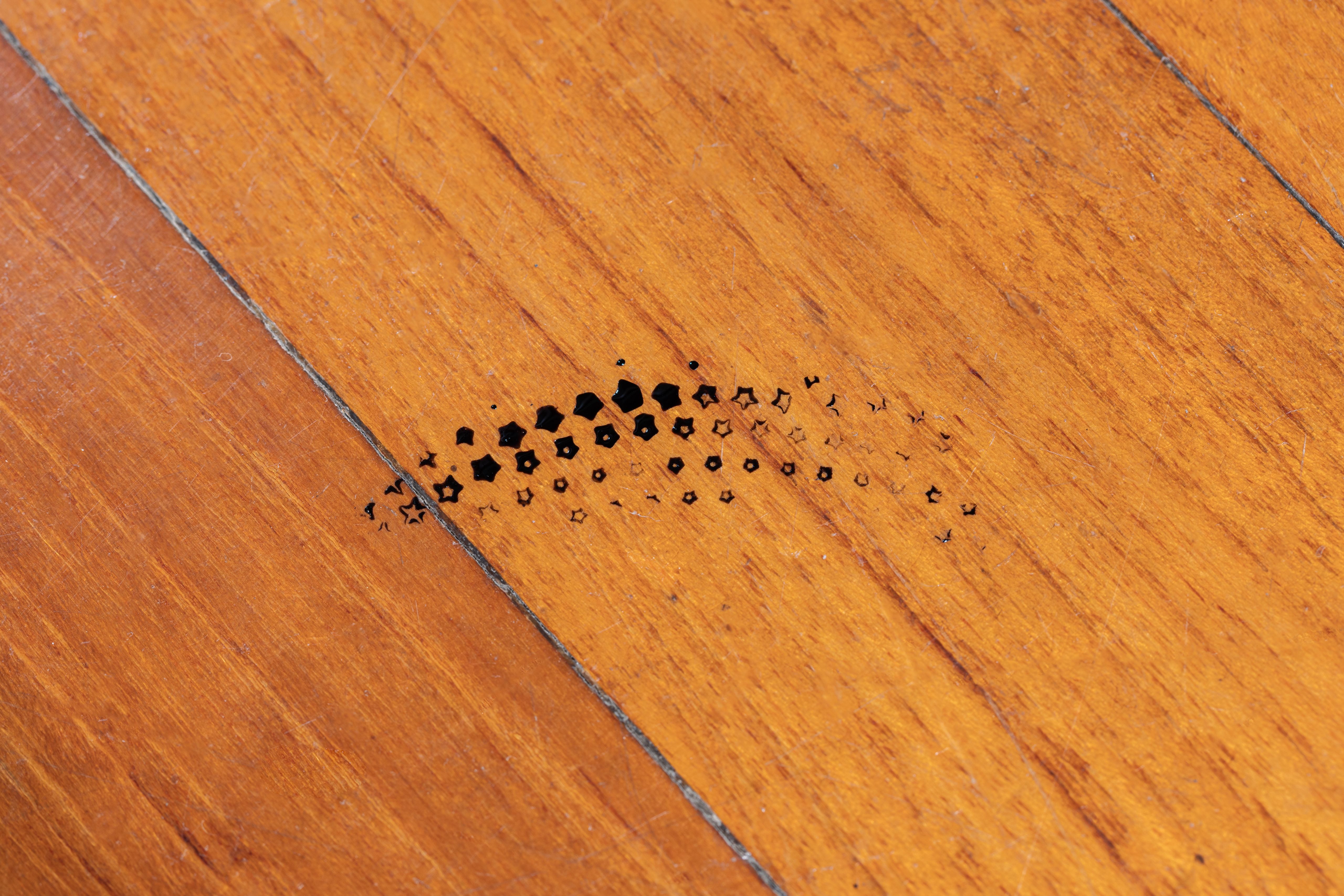 Small cluster of black star prints on a wooden floor