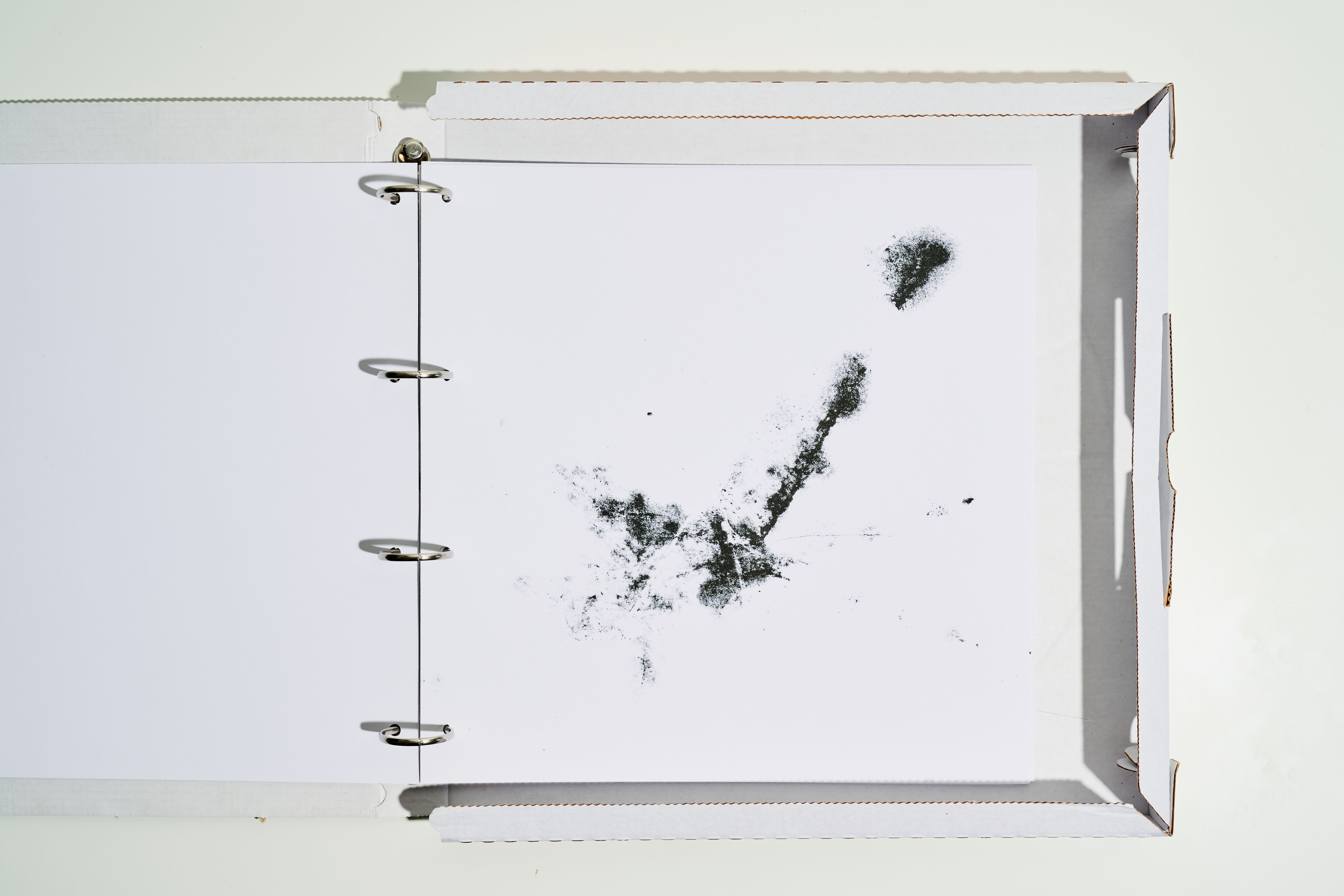 Open pizza box book showing a print of scattered black marks