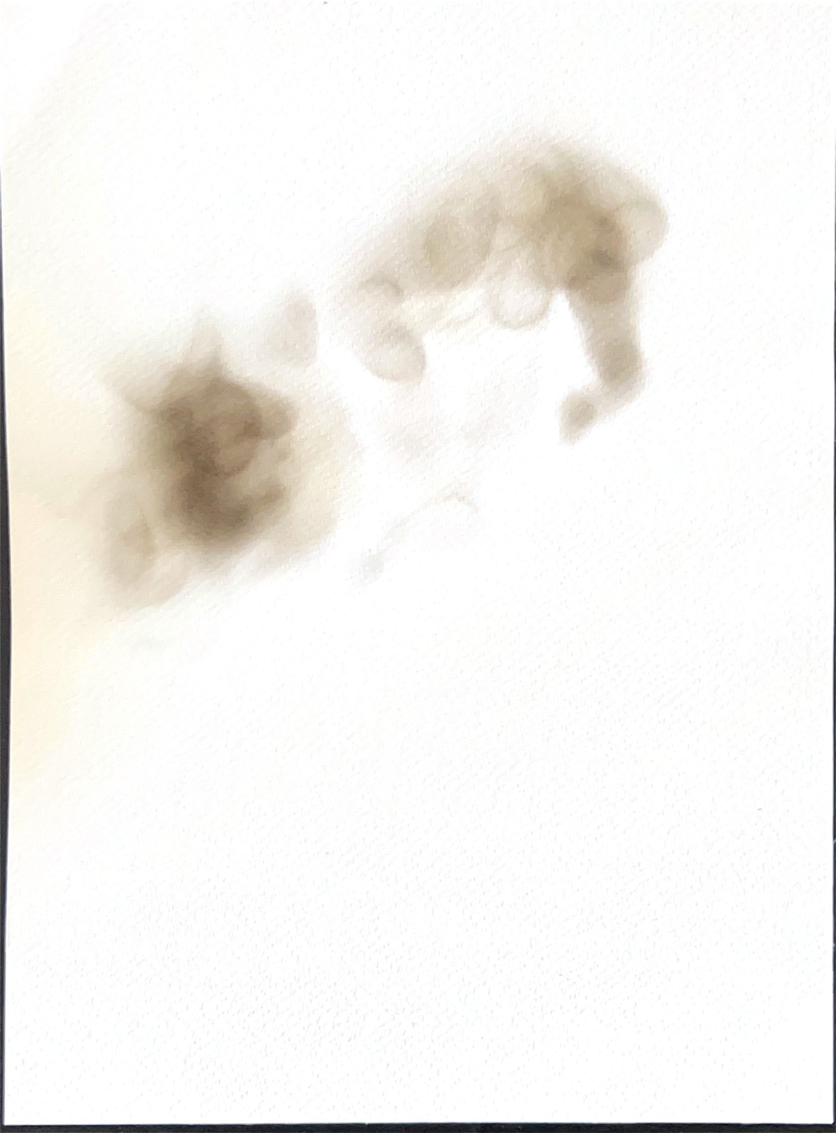 Drawing of a pair of smudged brown eyes, tilted, on white paper
