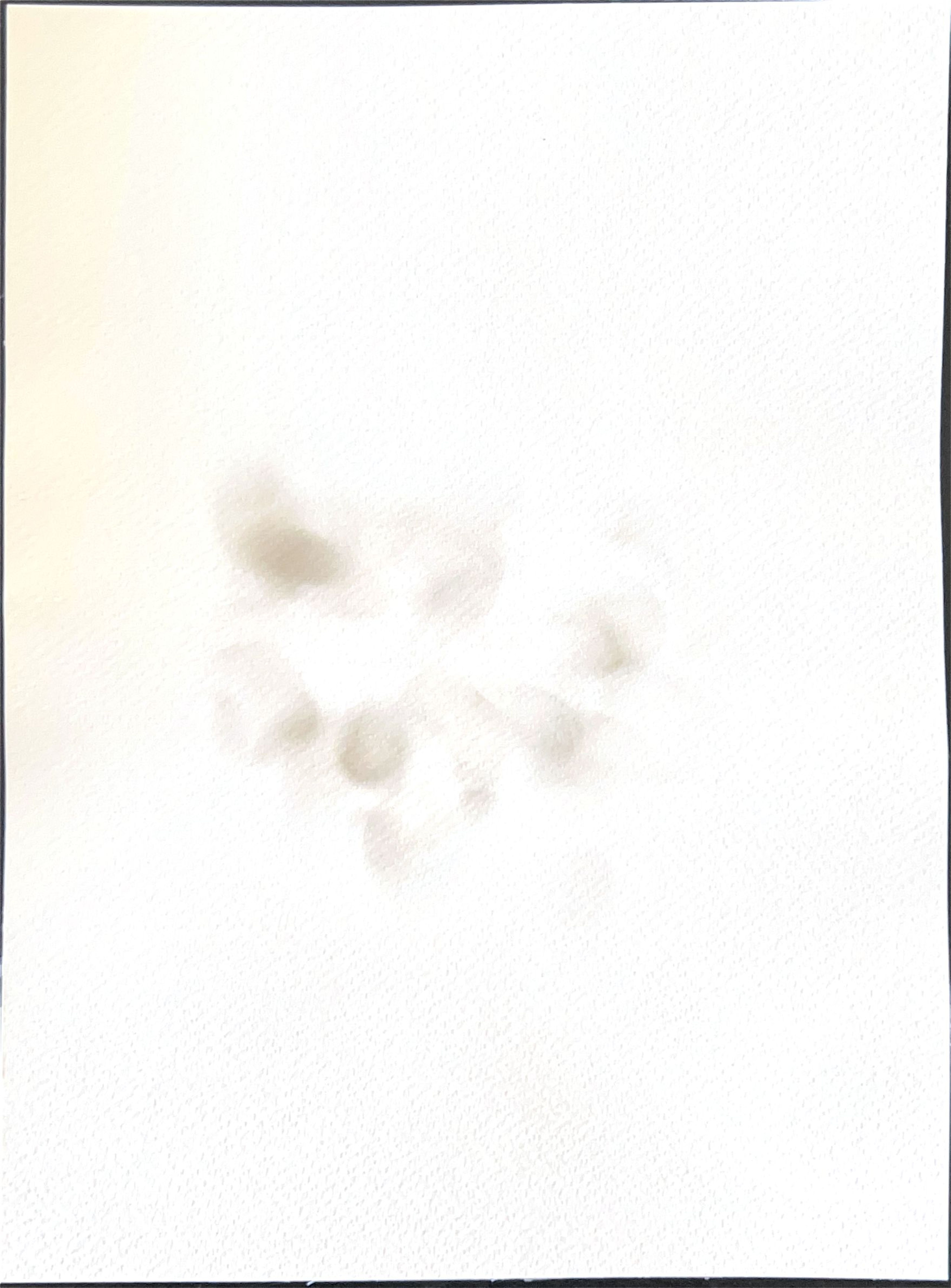 Drawing of faint brown eye marks on white paper