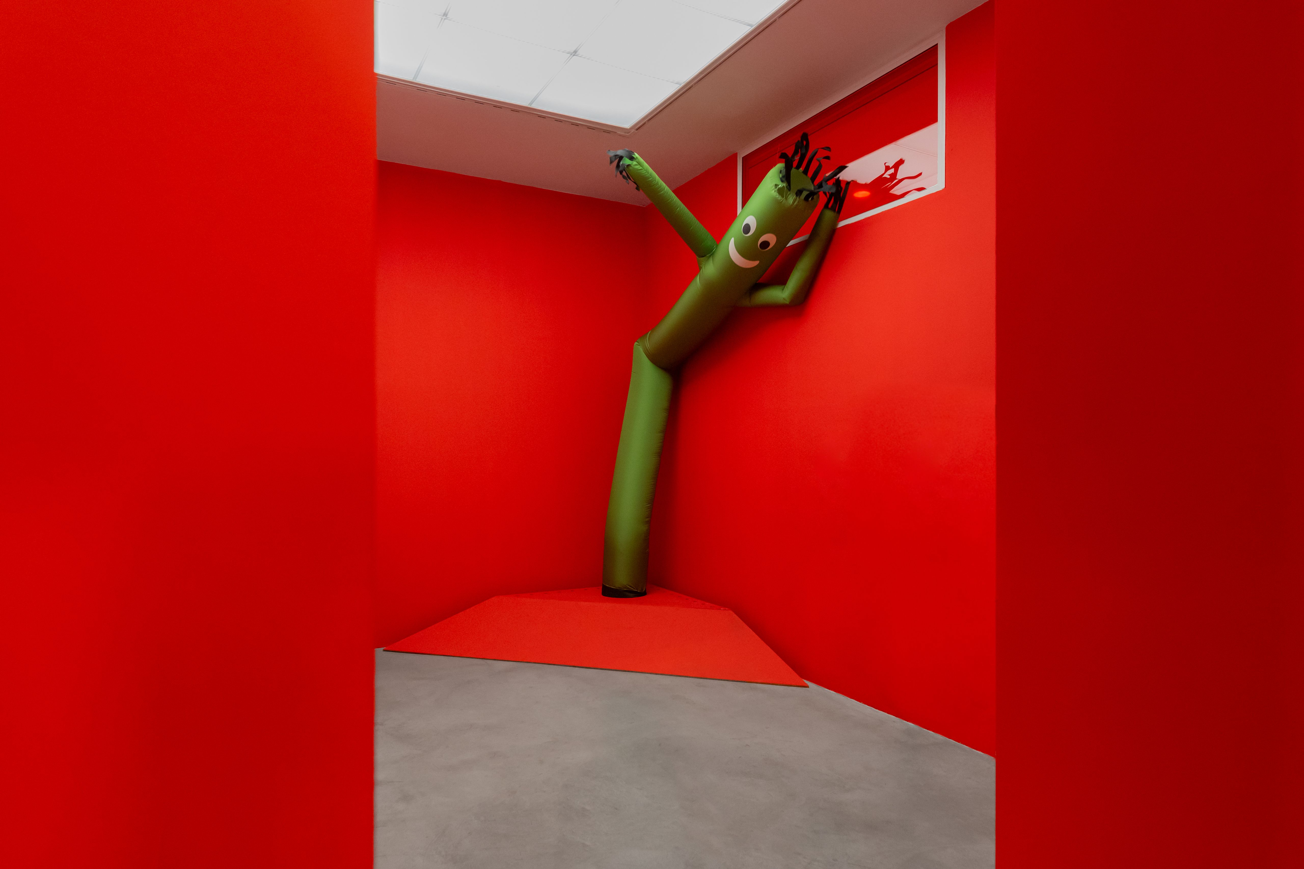 Green skydancer leaning into the corner of a room painted red