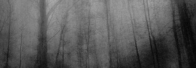 Misregard