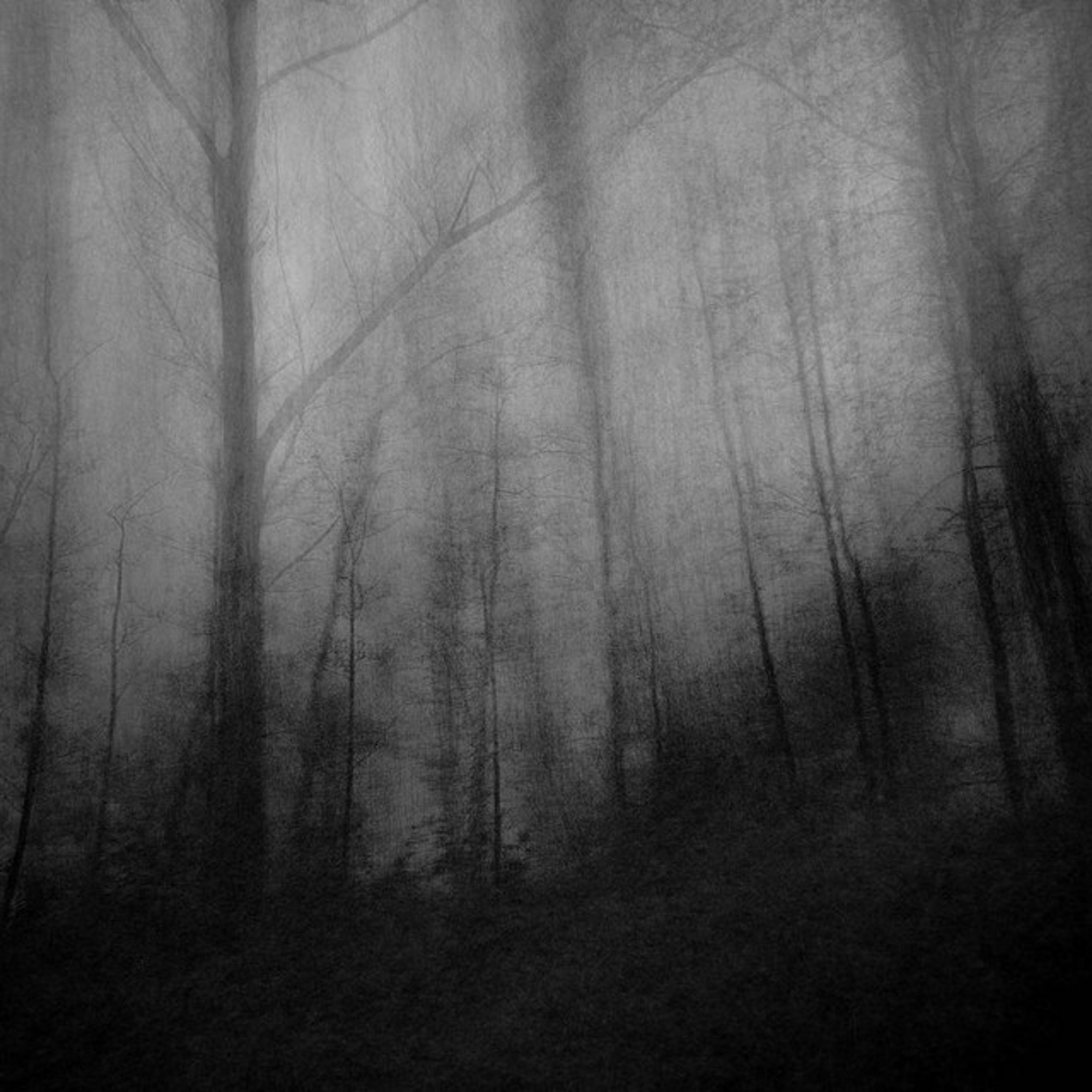 Misregard