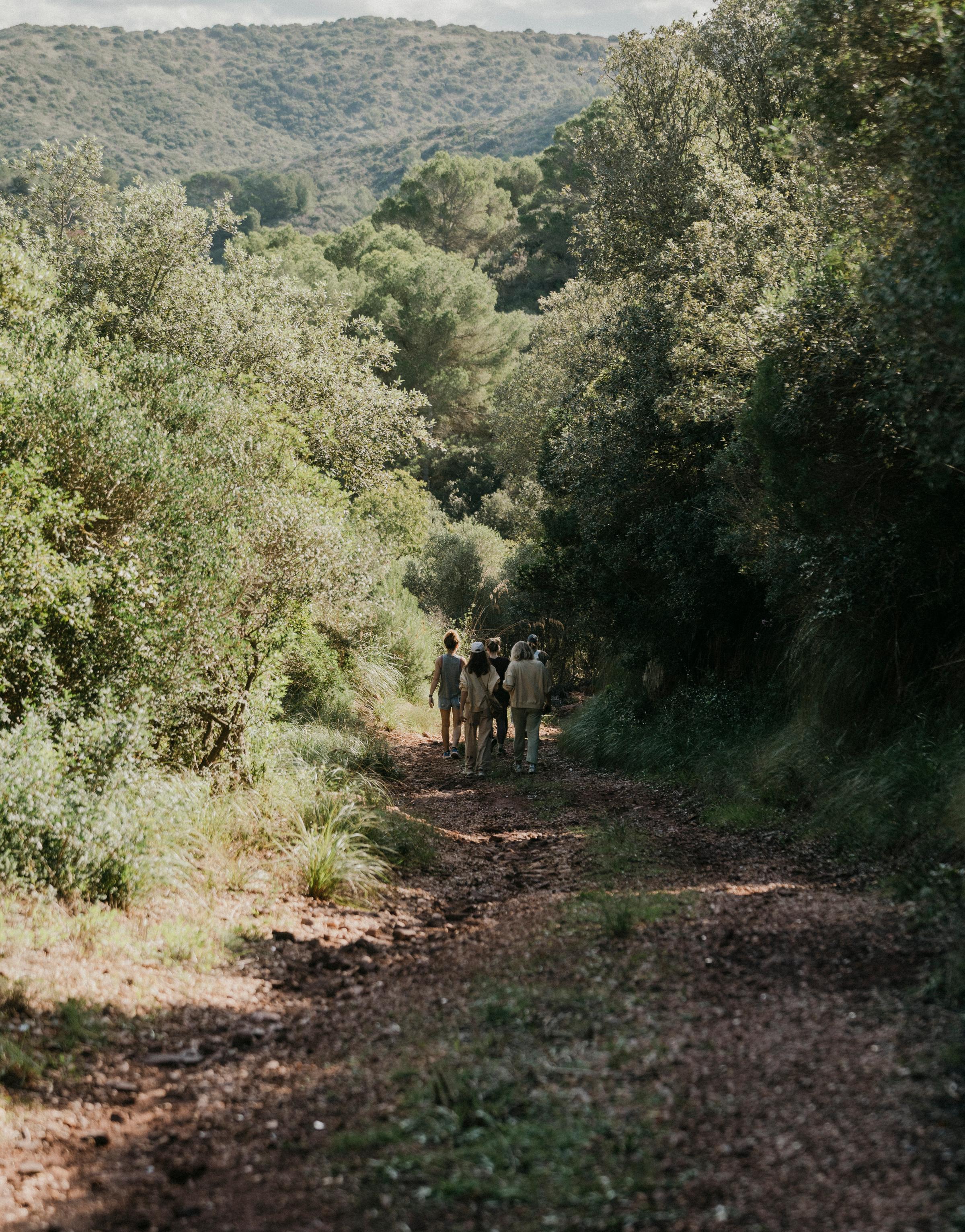 A group of people hiking through a scenic landscape, enjoying nature and the outdoors as they embark on a journey of exploration and teamwork.