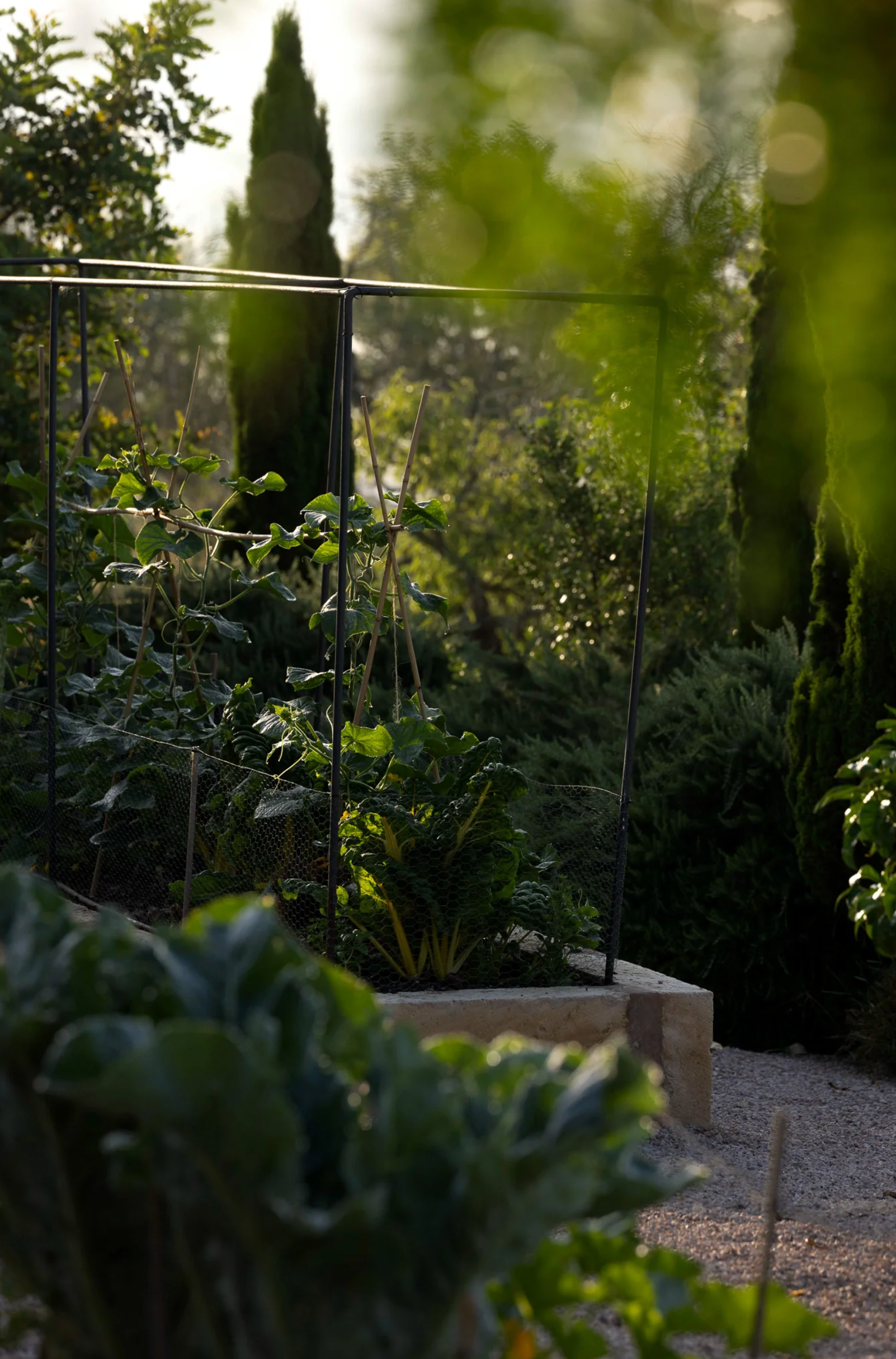 Peaceful natural scenery in Mallorca where the Moon Sisters x Kaer retreat takes place, a women’s wellness retreat focused on connection, rituals, and nature.
