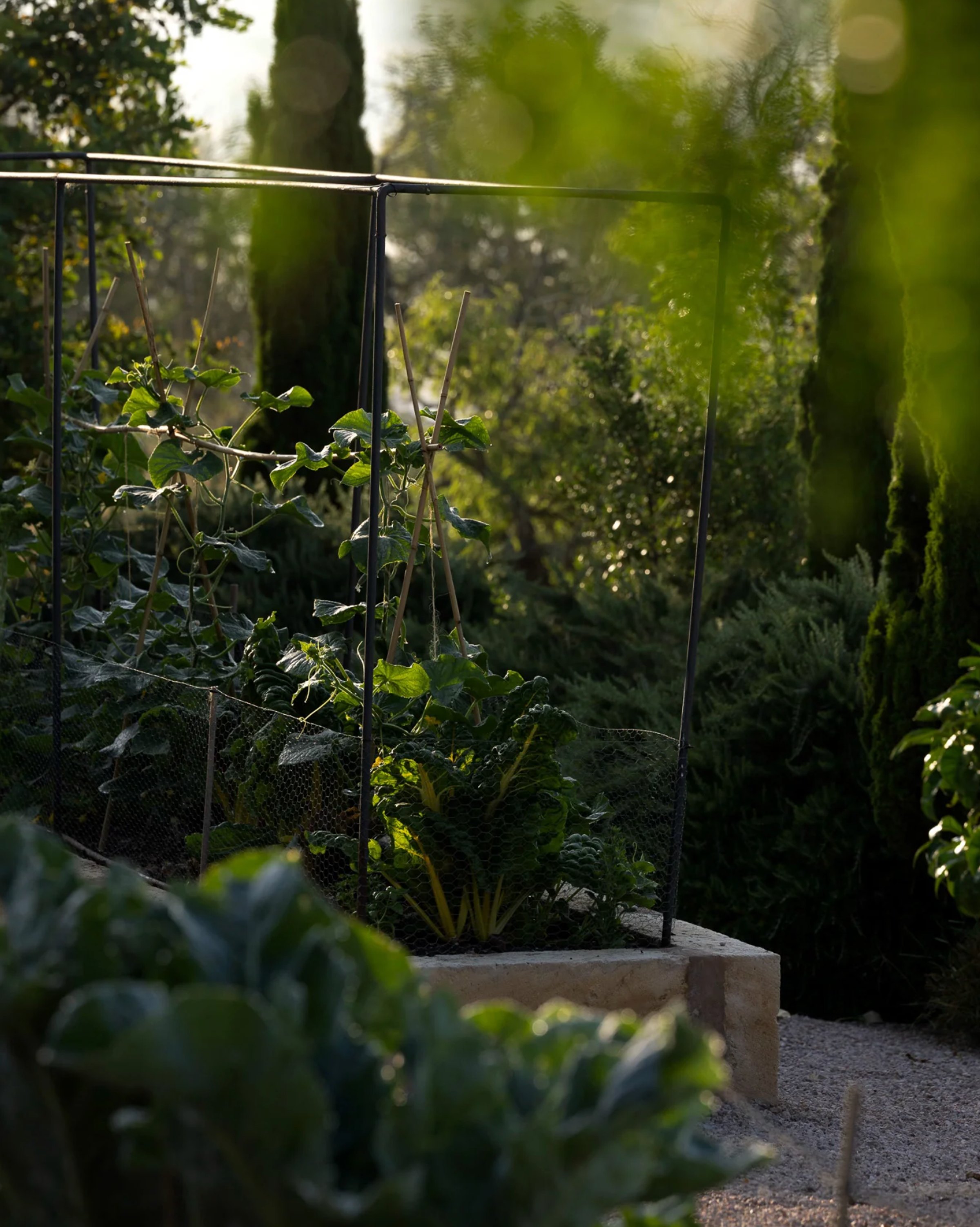 Peaceful natural scenery in Mallorca where the Moon Sisters x Kaer retreat takes place, a women’s wellness retreat focused on connection, rituals, and nature.