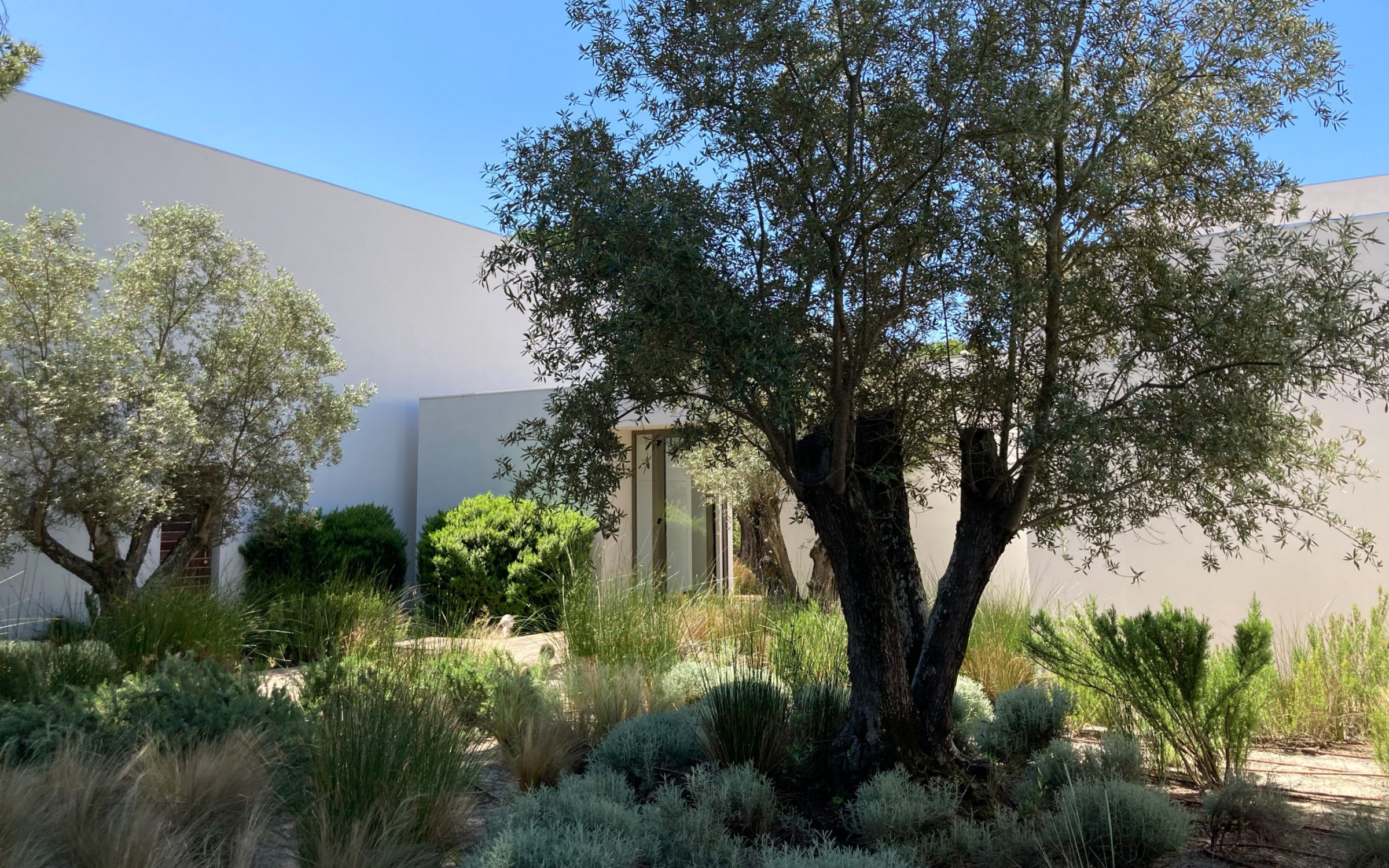 Alma da Comporta | Luxury Wellness Retreat with Rice Field Views