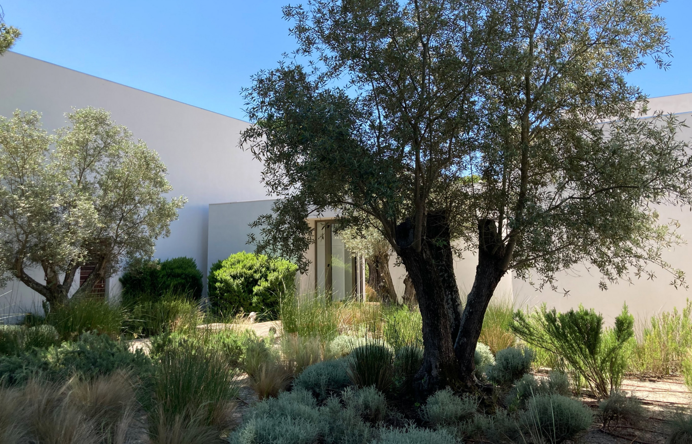 Alma da Comporta | Luxury Wellness Retreat with Rice Field Views