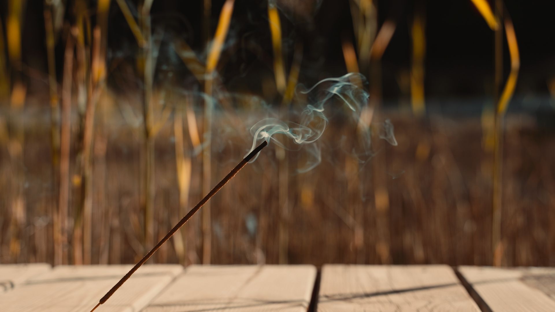 Biopool at sublime comporta 