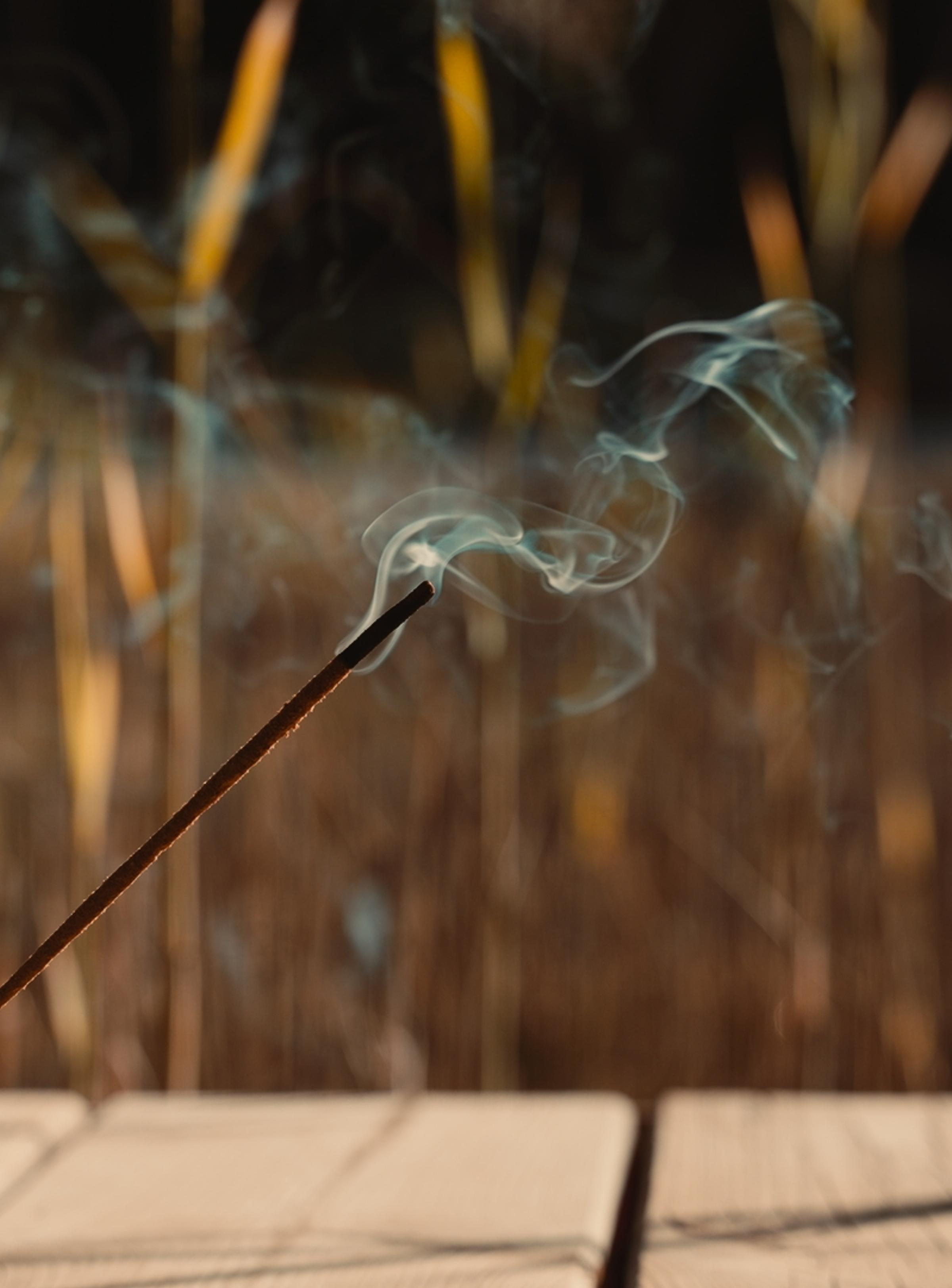 Biopool at sublime comporta