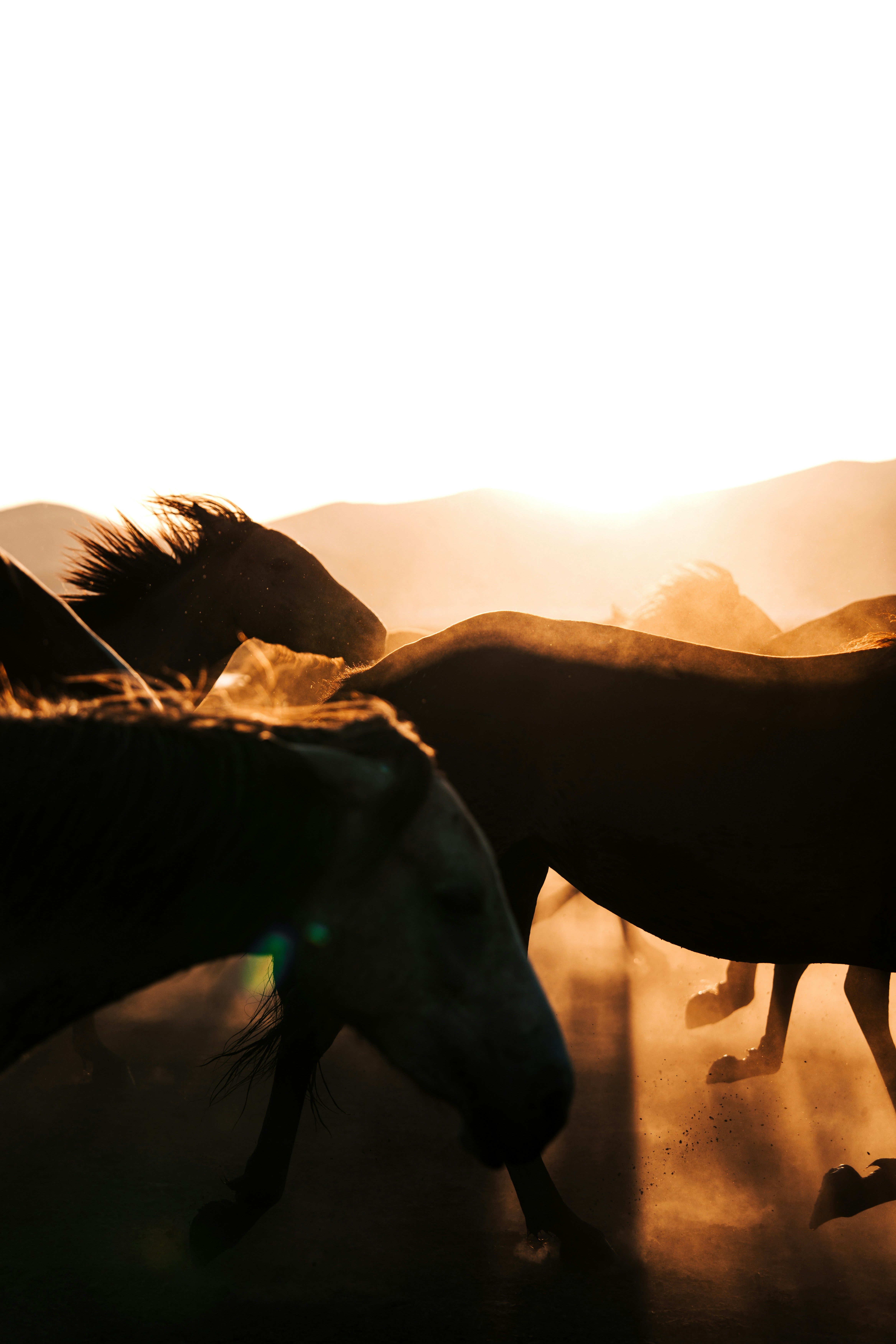 A glowing full moon over calm water, symbolizing feminine energy, intuition, and new beginnings.