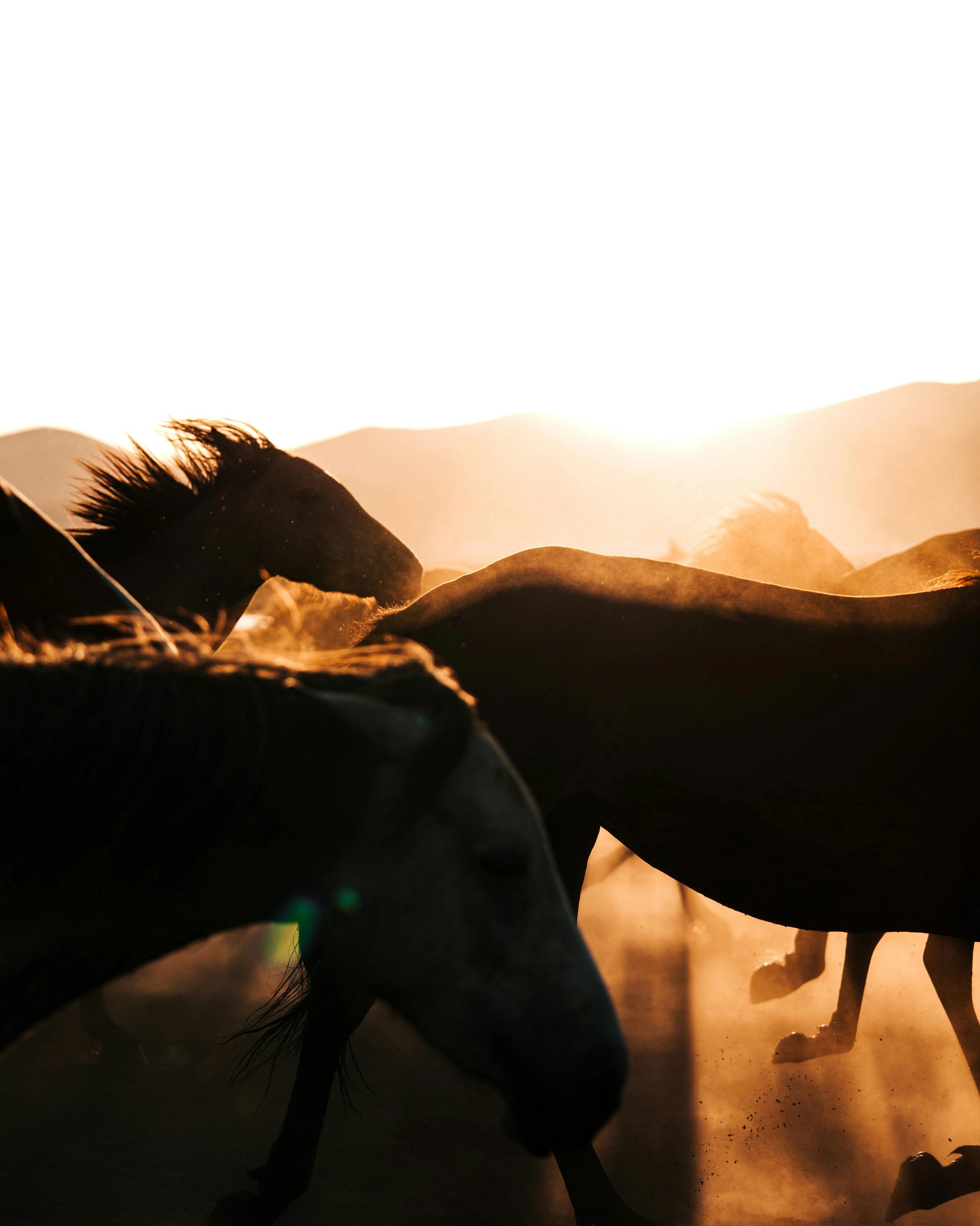 A glowing full moon over calm water, symbolizing feminine energy, intuition, and new beginnings.