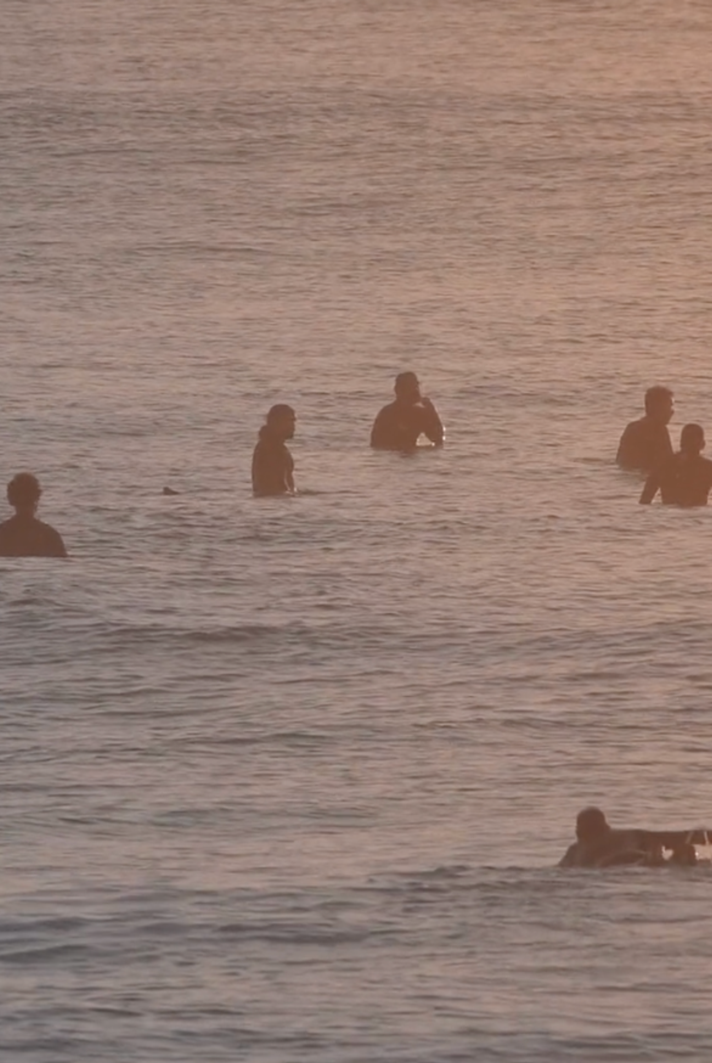 4-Day Riding the Waves