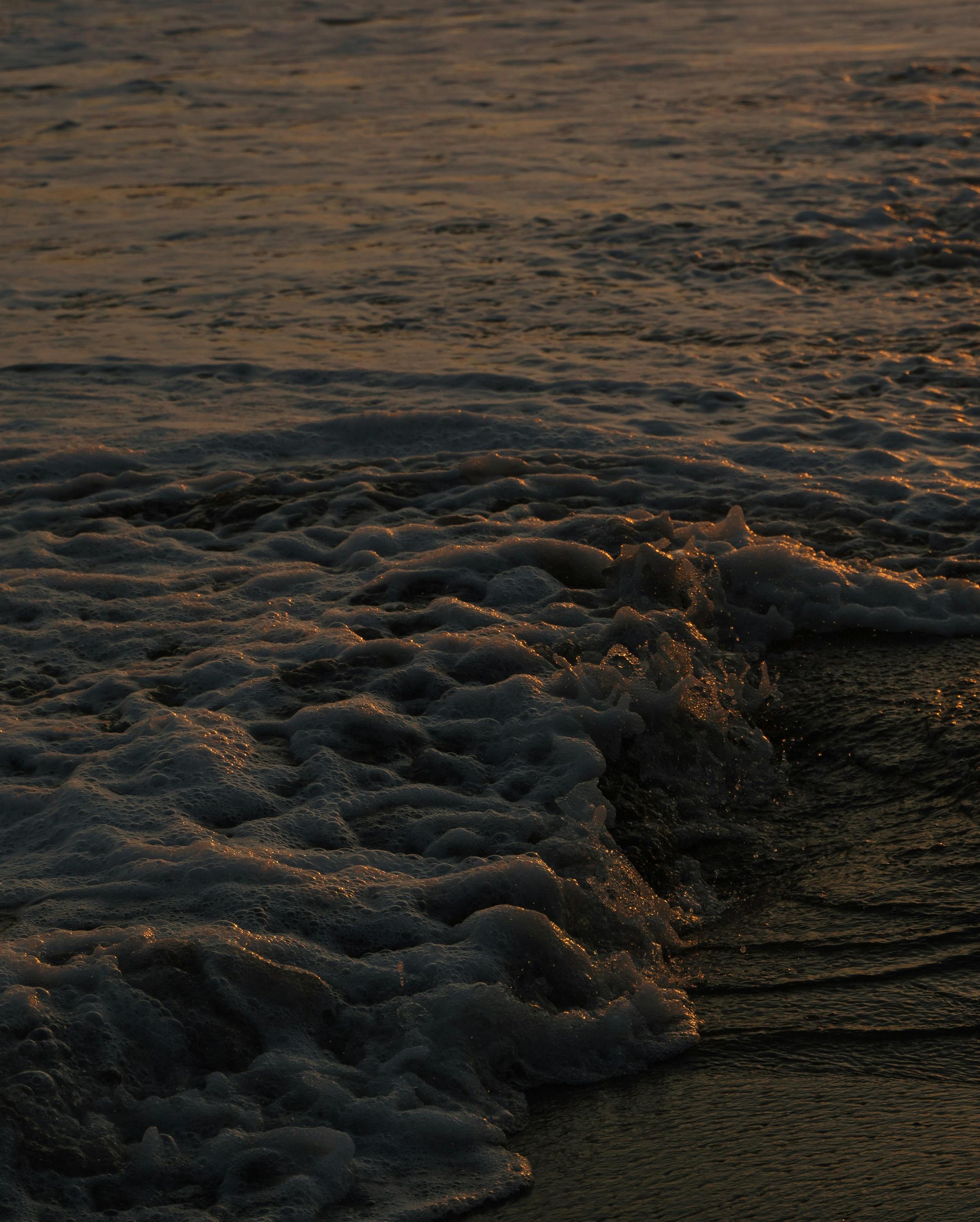 A stunning aerial view of the resort, showcasing luxury tents nestled within lush jungle greenery, with the Pacific Ocean shimmering in the background.