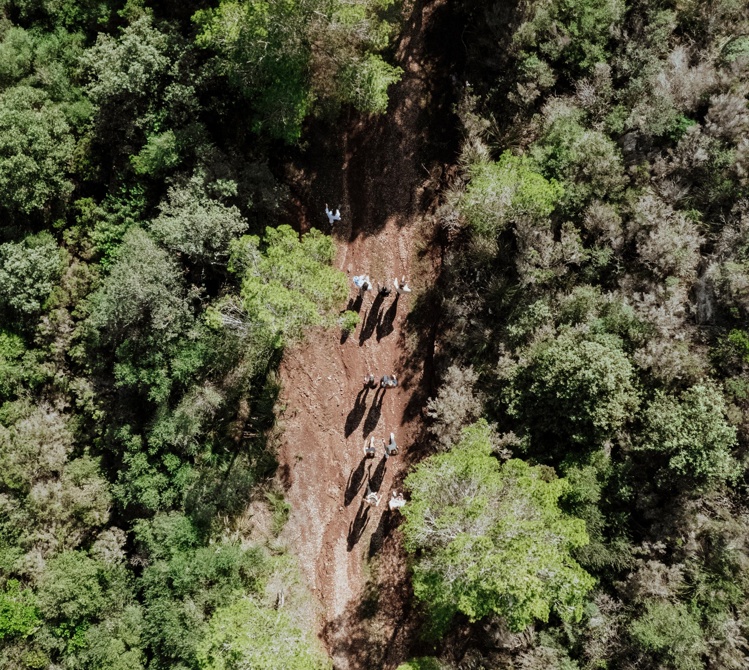 Picture of a group hiking at a Kaer Strategic off-site