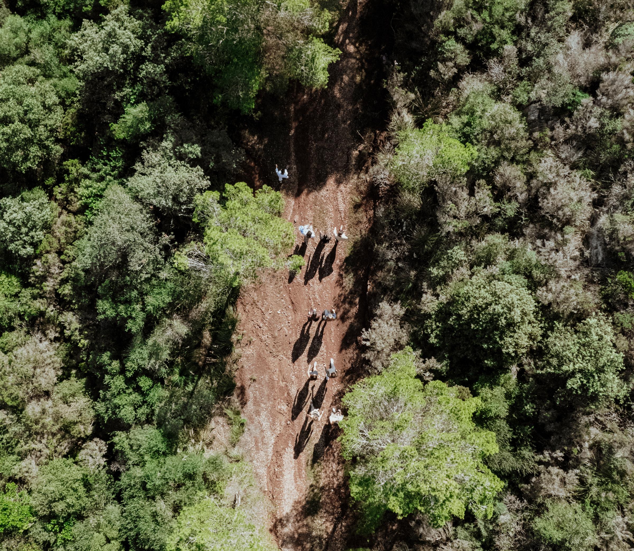 Picture of a group hiking at a Kaer Strategic off-site