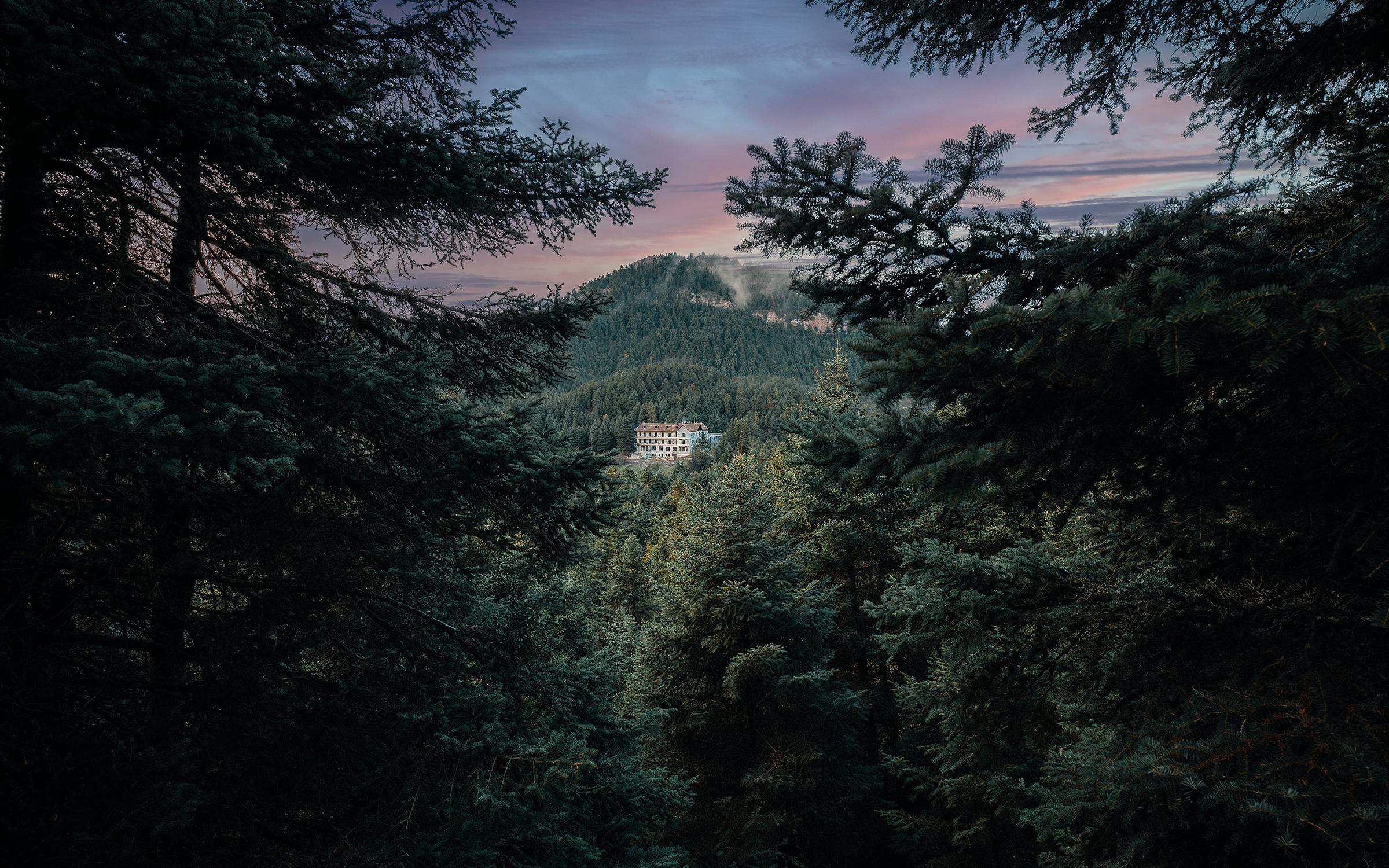 Peaceful mountain trail near MANNA lined with ancient fir trees, inviting guests to explore Arcadia’s untouched beauty