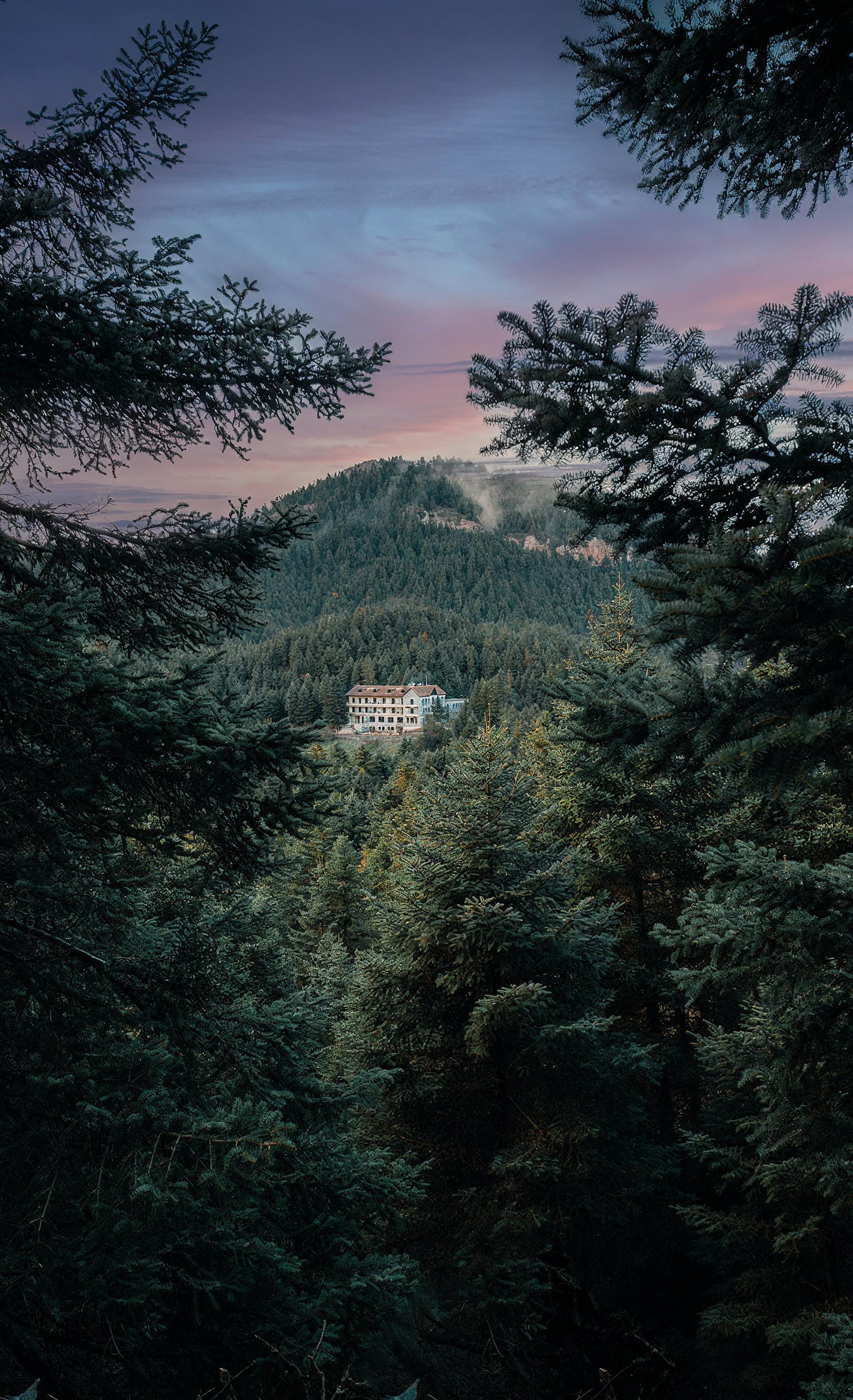 Peaceful mountain trail near MANNA lined with ancient fir trees, inviting guests to explore Arcadia’s untouched beauty