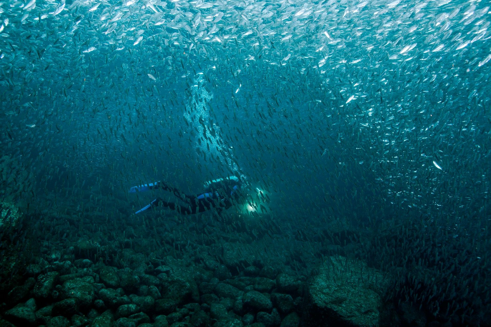 A diver during a Kaer luxury retreat