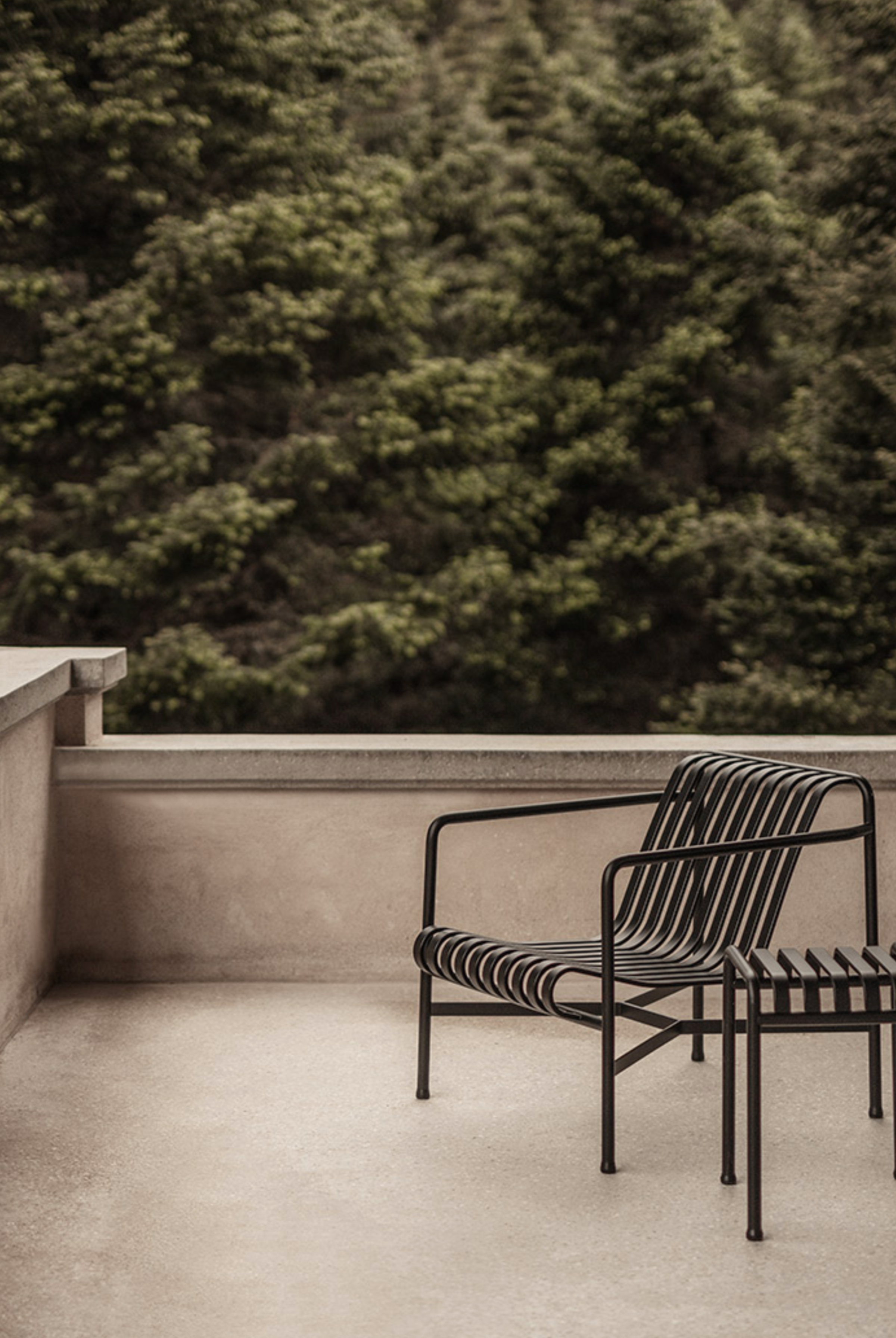 Stylish Junior Suite at MANNA, designed for ultimate comfort, combining natural aesthetics with refined luxury.