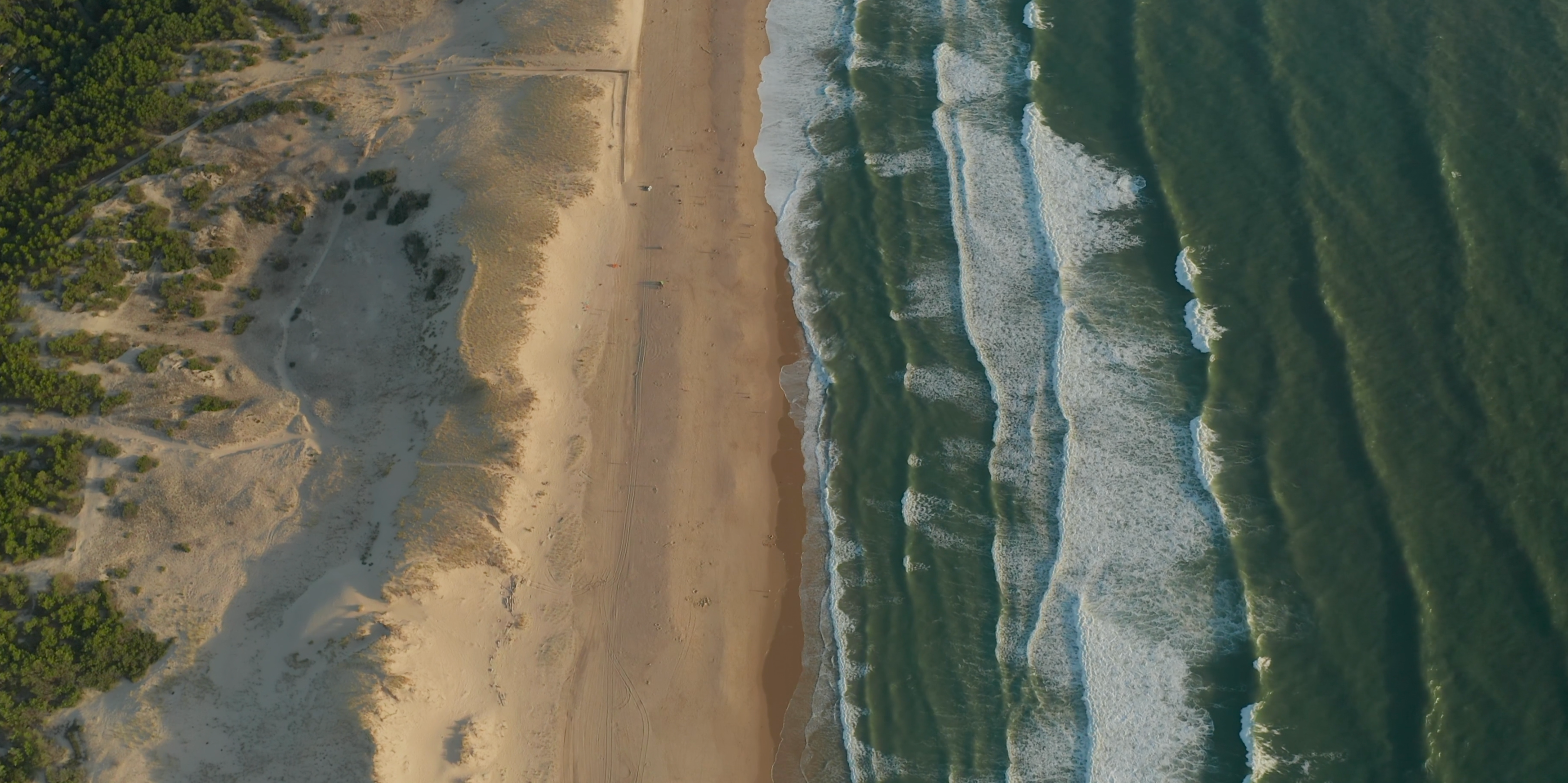 An aerial view of a serene coastline with golden sandy beaches on the left and vibrant green ocean waves gently breaking on the right, bordered by lush greenery.