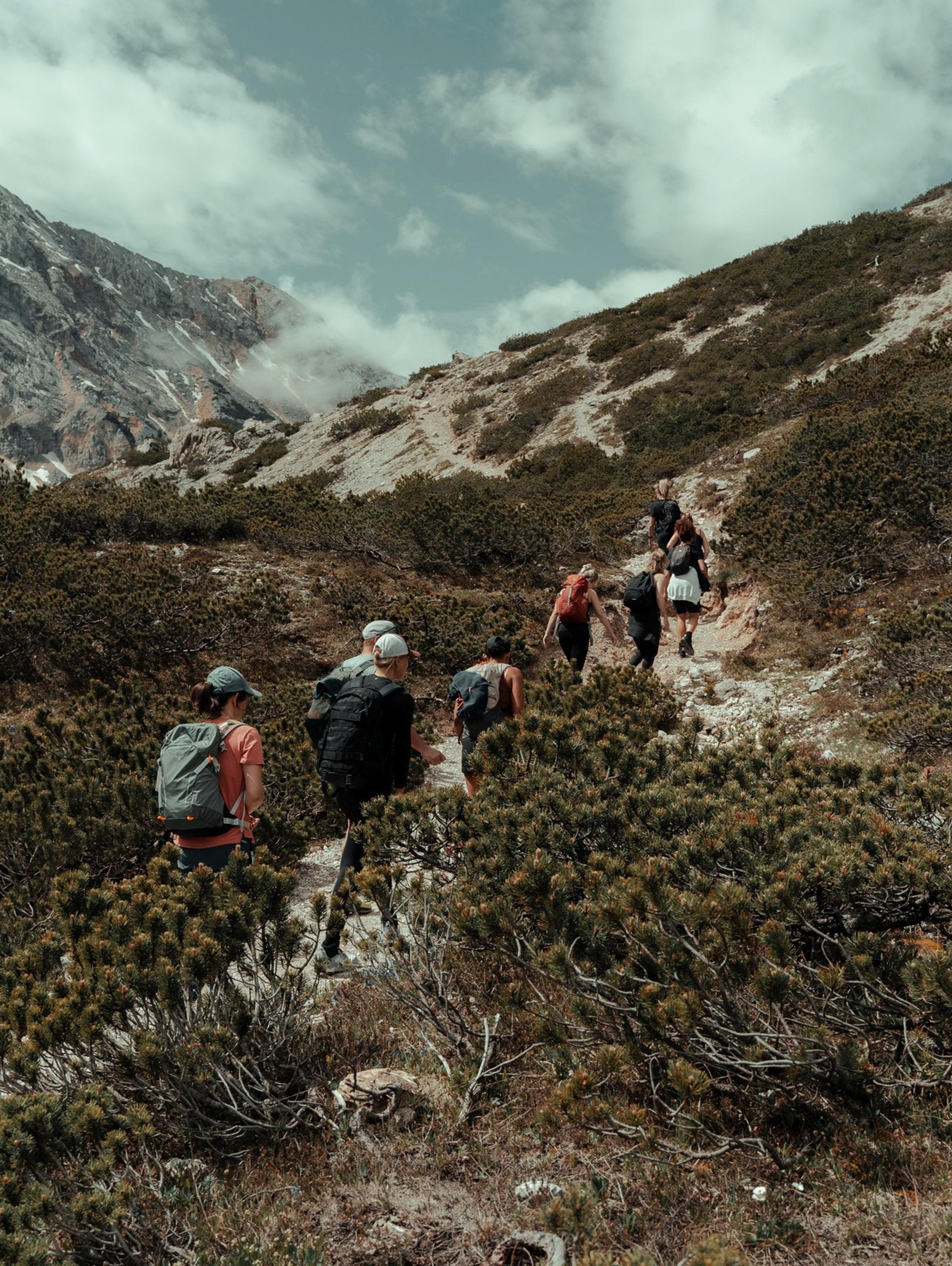 Group of leaders hiking in the mountains, embracing resilience, self-discovery, and transformational growth.