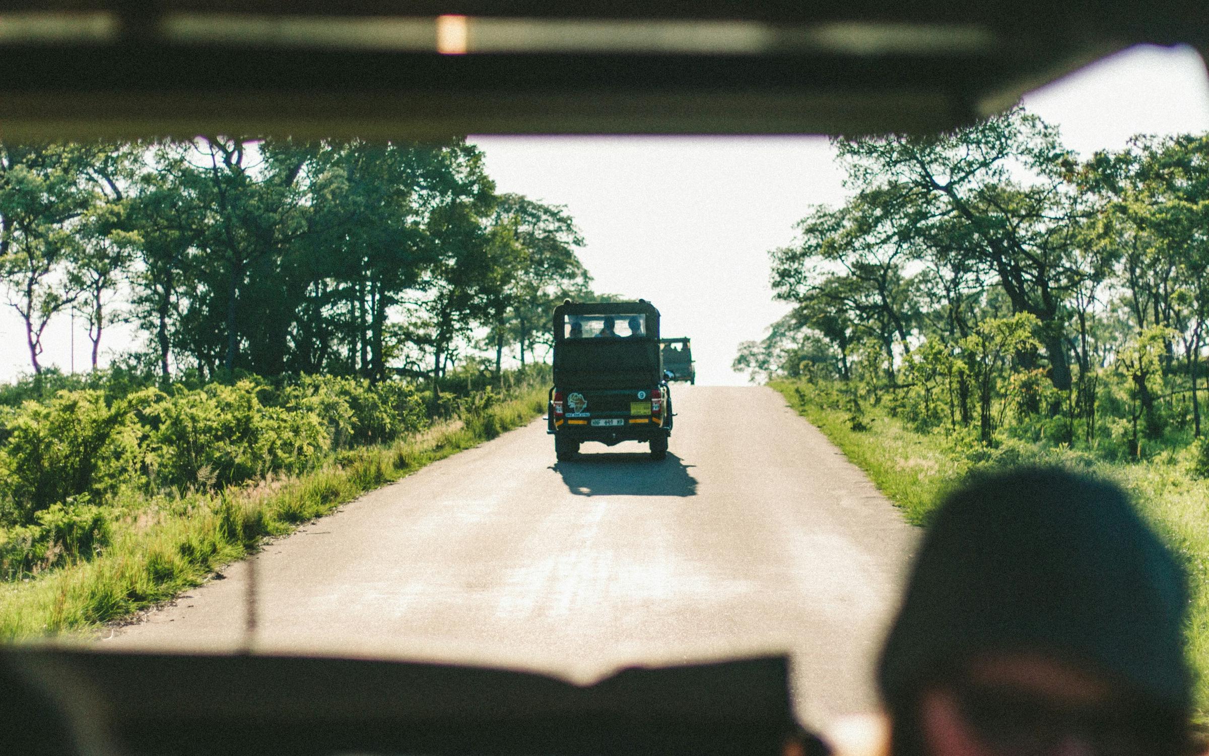 Two safari vehicles on a dirt road in the savanna, ready for adventure and wildlife exploration.