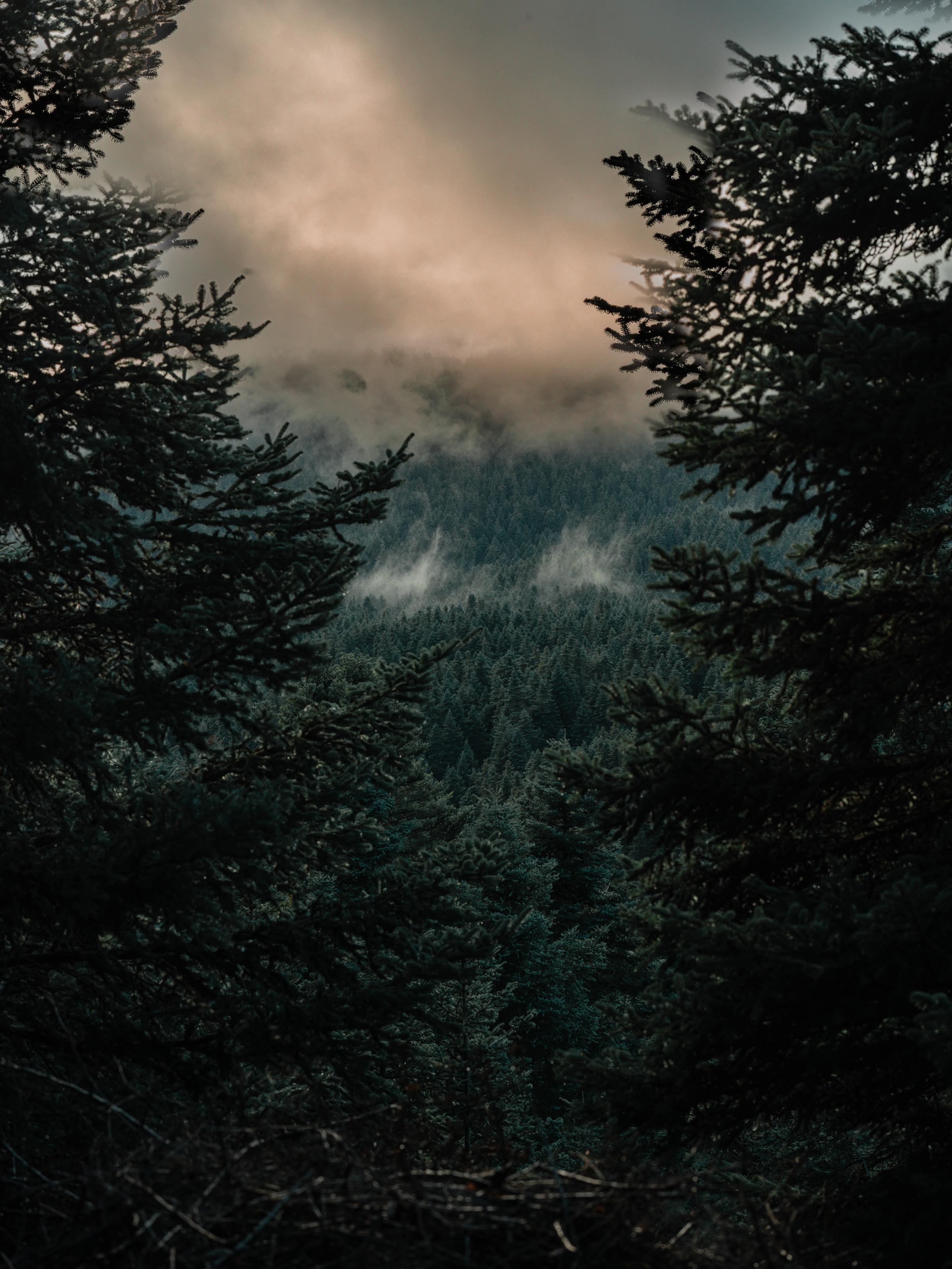 Peaceful Greece estate with minimalist design and lush gardens.