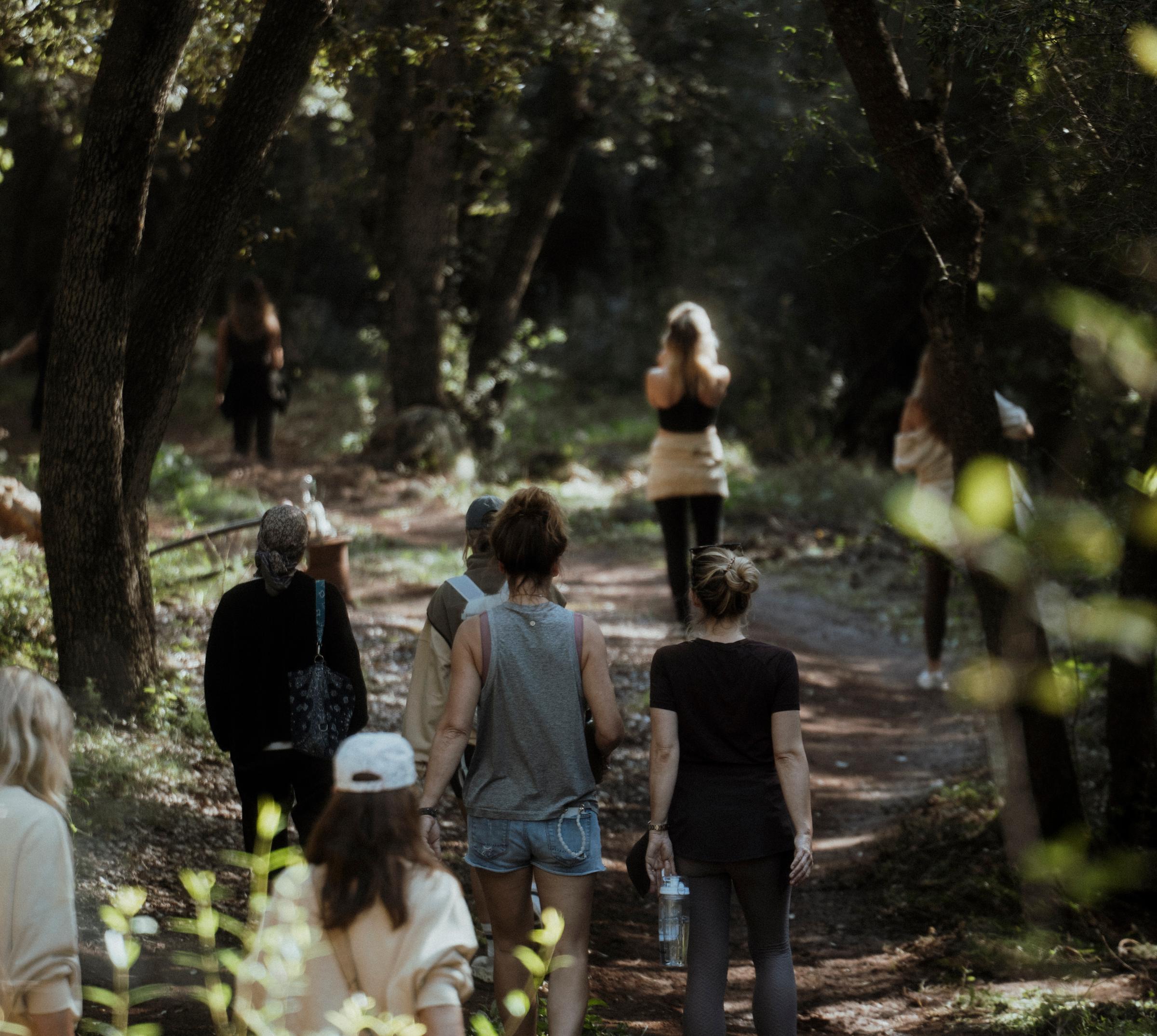 Group of women walking through nature during the Kaer x Moonsisters retreat with Gabrielle Anand, a transformational women’s wellness retreat focused on connection and nature.