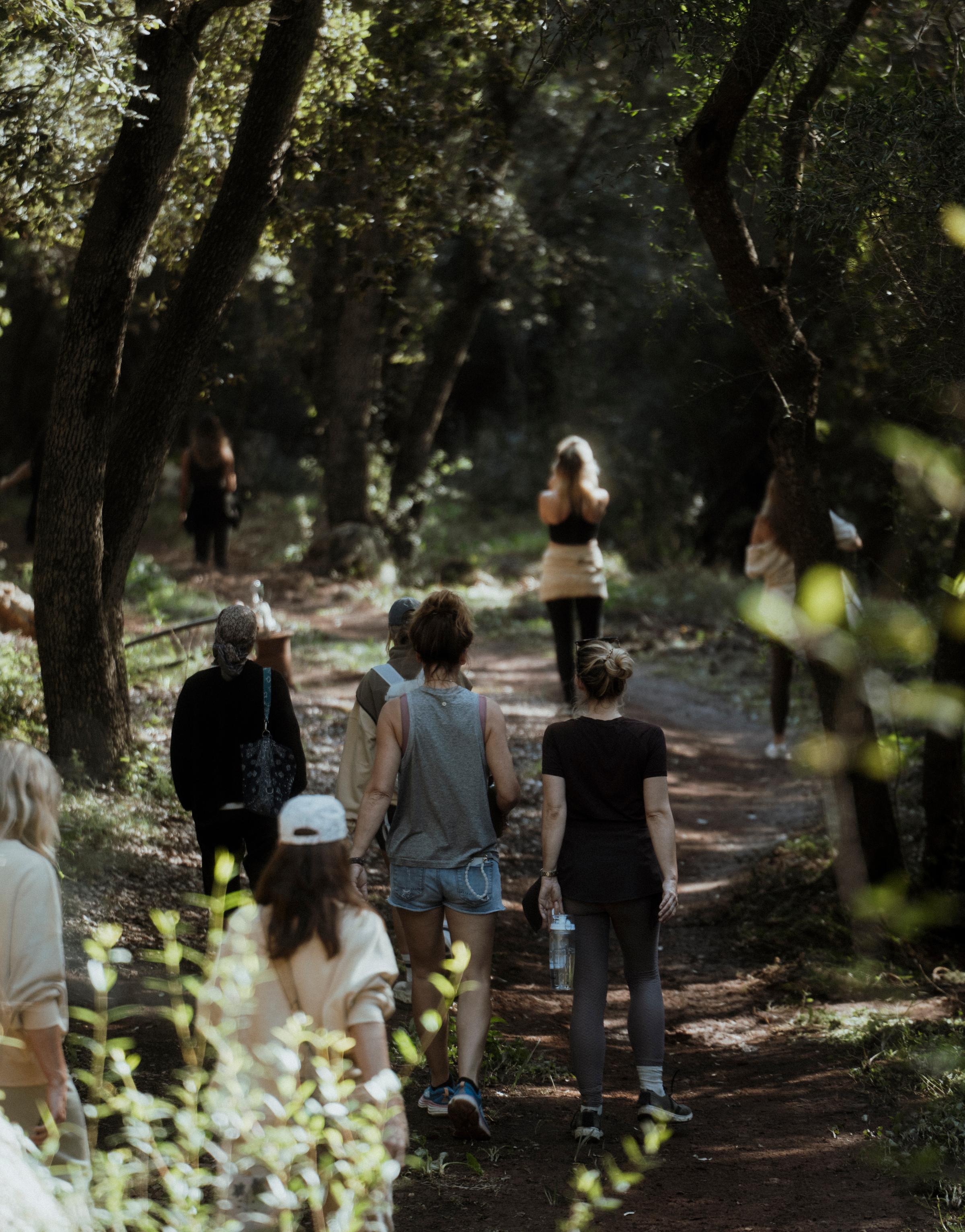 A group of people hiking through a scenic landscape, enjoying nature and the outdoors as they embark on a journey of exploration and teamwork.