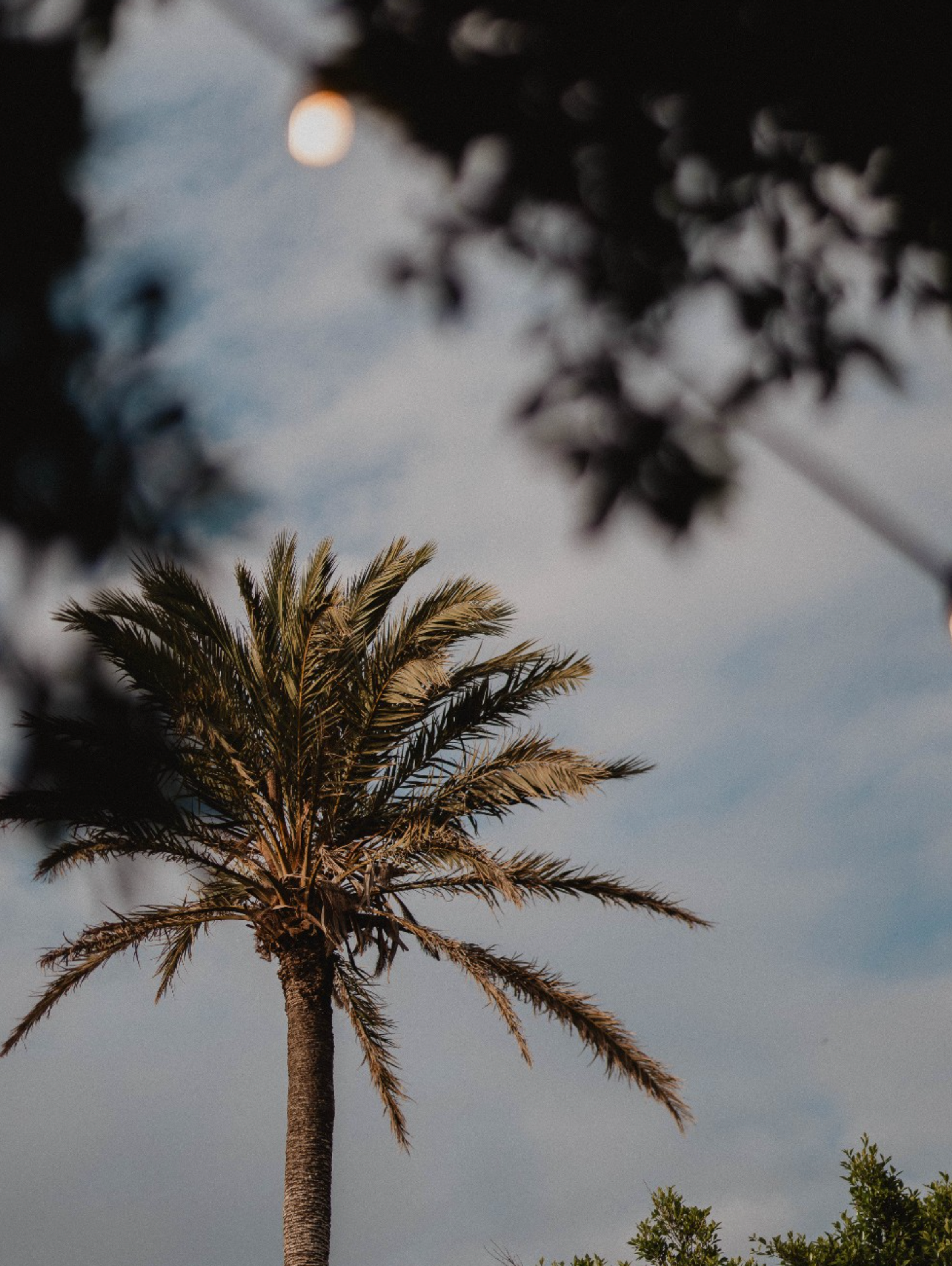 A glowing full moon over calm water, symbolizing feminine energy, intuition, and new beginnings.