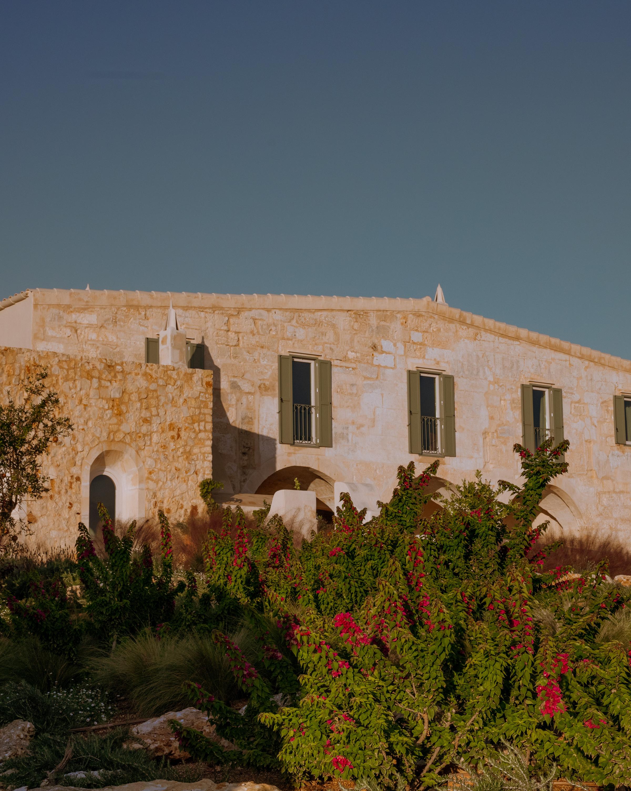 A sunlit path lined with olive trees at Son Blanc