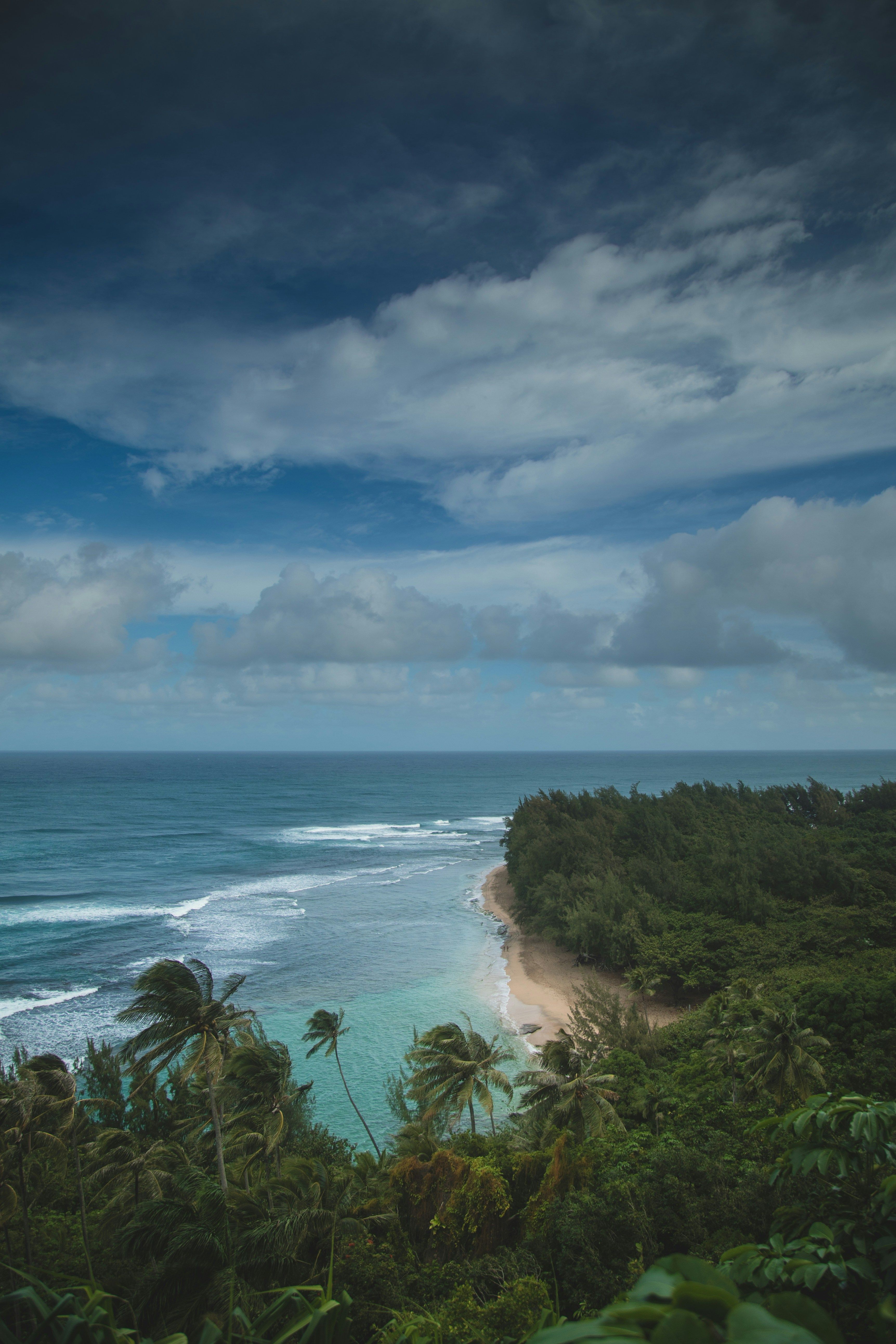 Divers exploring the crystal-clear waters, surrounded by vibrant marine life and the beauty of the Pacific Ocean.