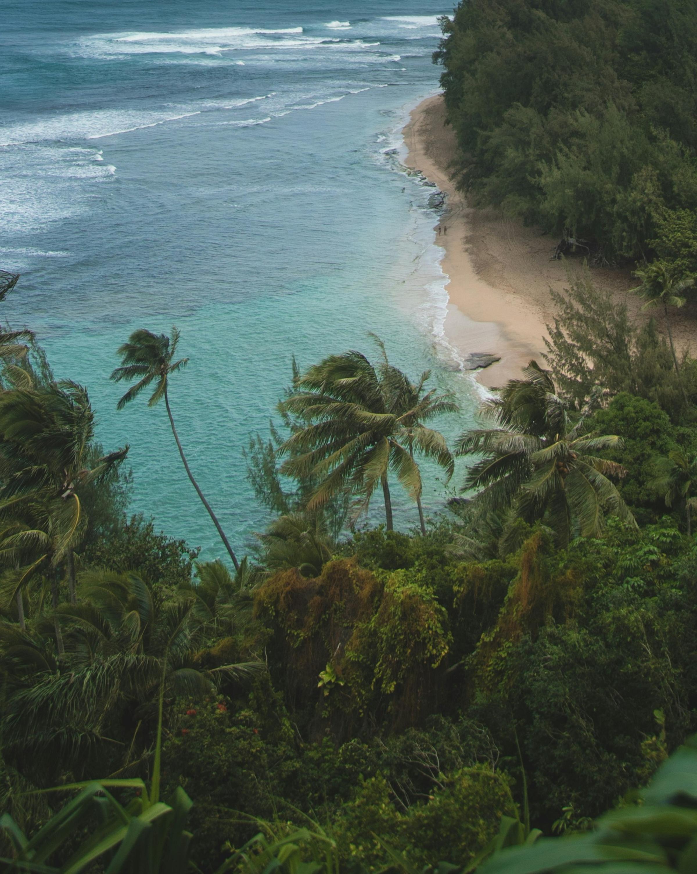 Divers exploring the crystal-clear waters, surrounded by vibrant marine life and the beauty of the Pacific Ocean.