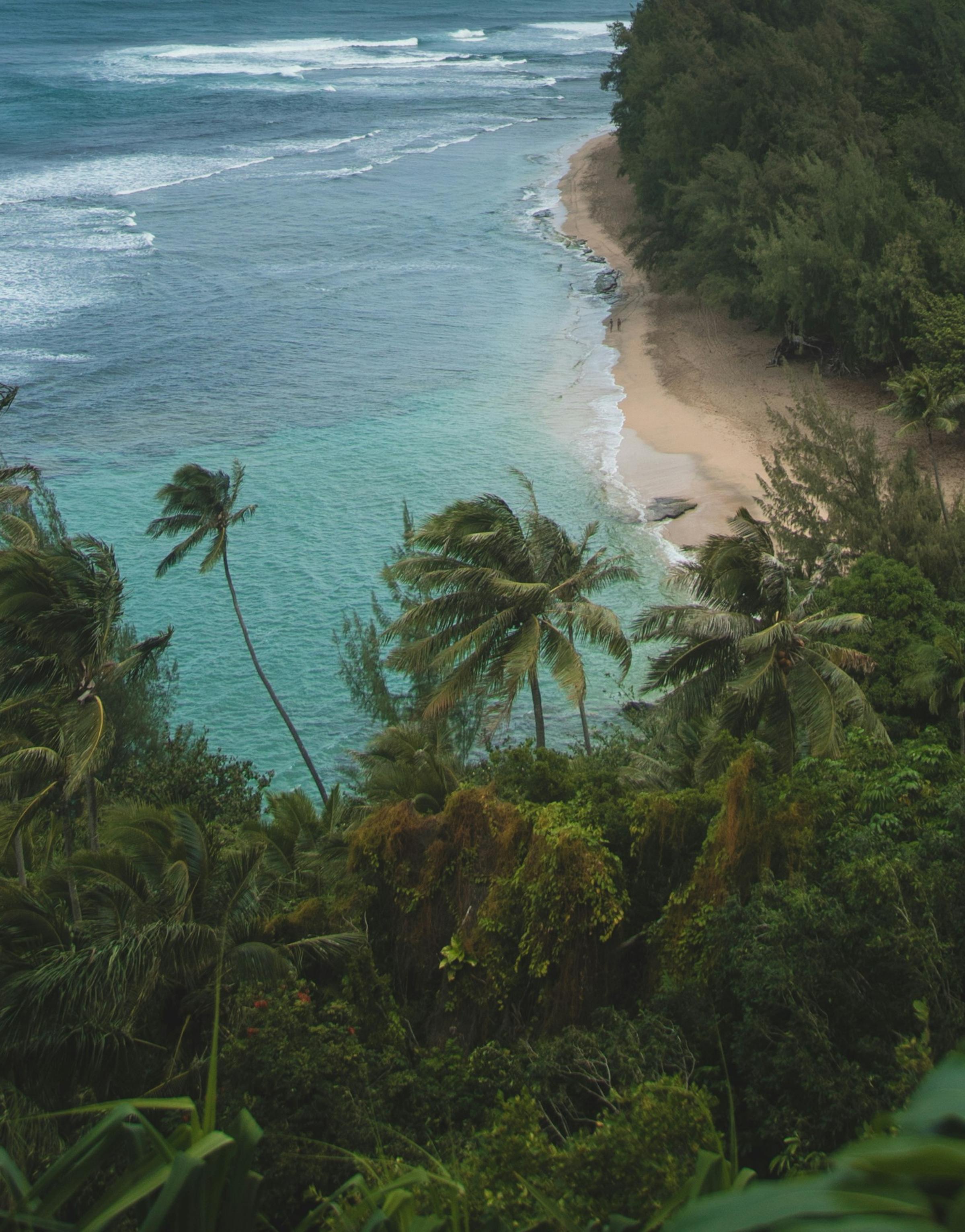 Divers exploring the crystal-clear waters, surrounded by vibrant marine life and the beauty of the Pacific Ocean.