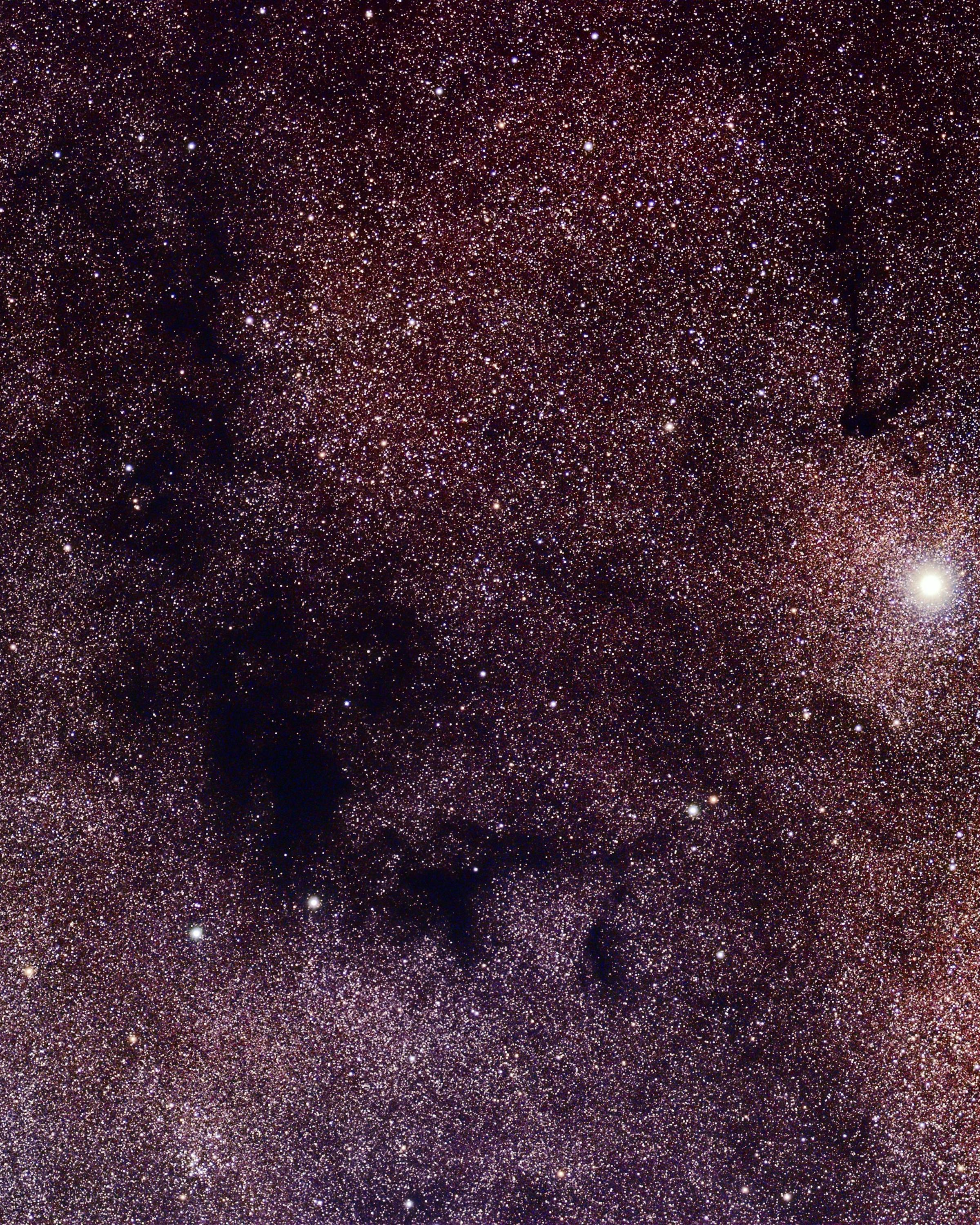 A purplish sky filled with countless stars, creating a stunning celestial backdrop that evokes a sense of wonder and tranquility.