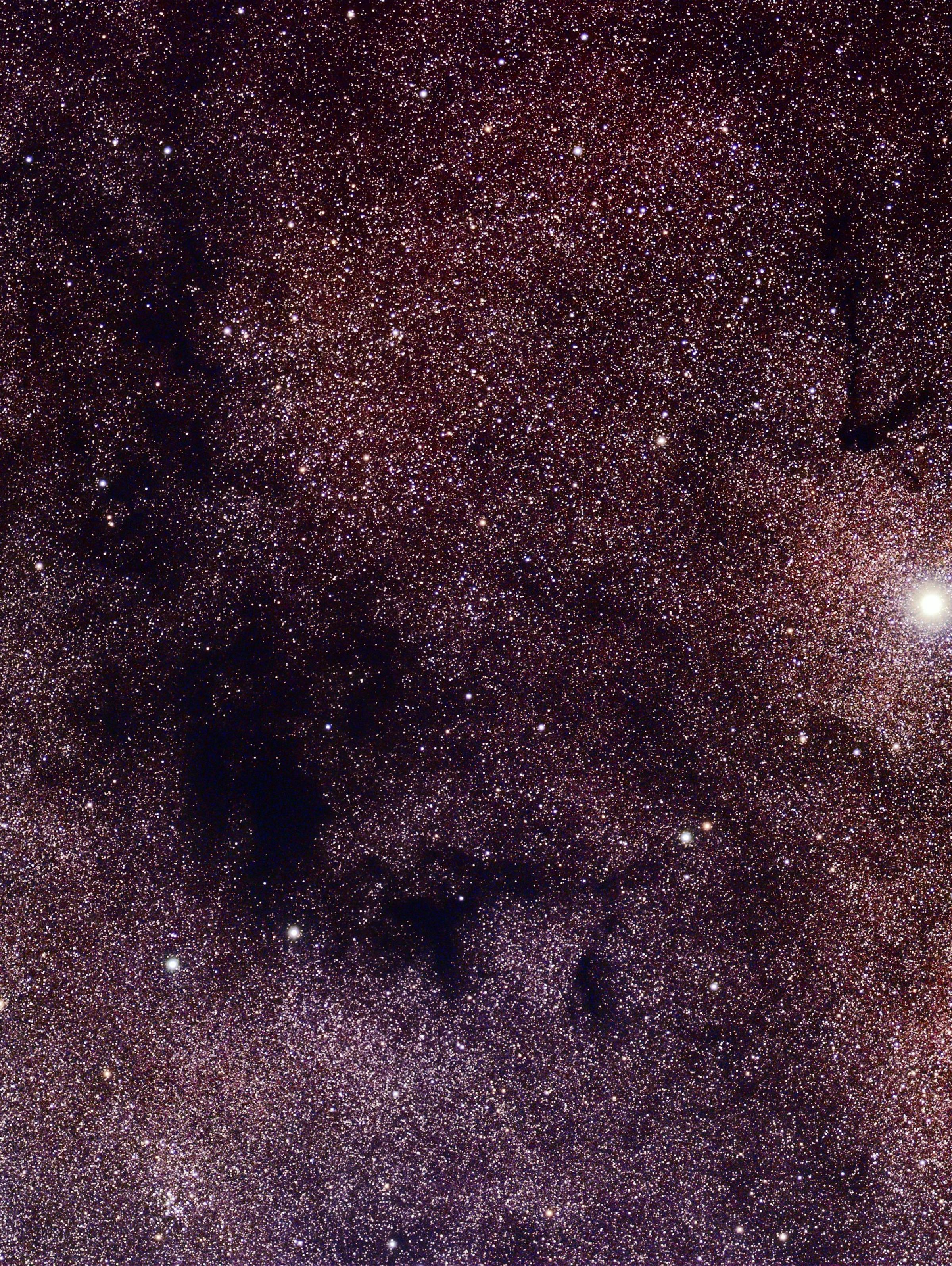 A purplish sky filled with countless stars, creating a stunning celestial backdrop that evokes a sense of wonder and tranquility.