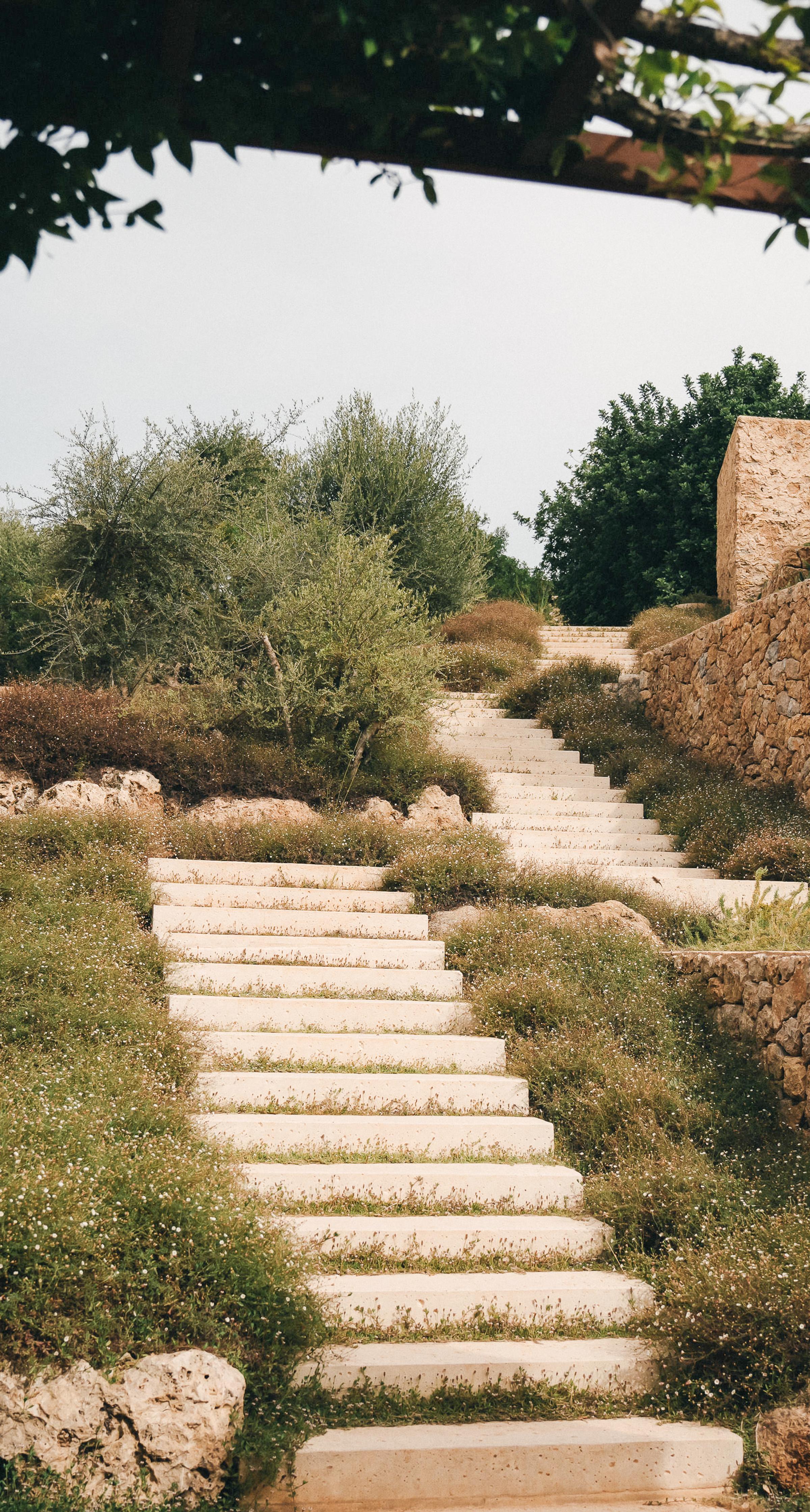 Reconnect with nature and yourself at Es Racó d'Artà, Mallorca's sustainable wellness retreat.