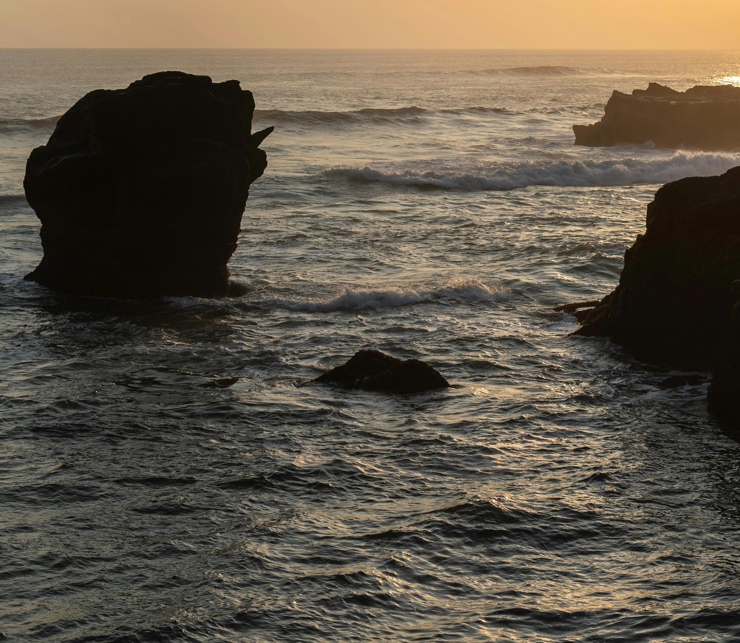 Build From Within™ by Barbara den Bak