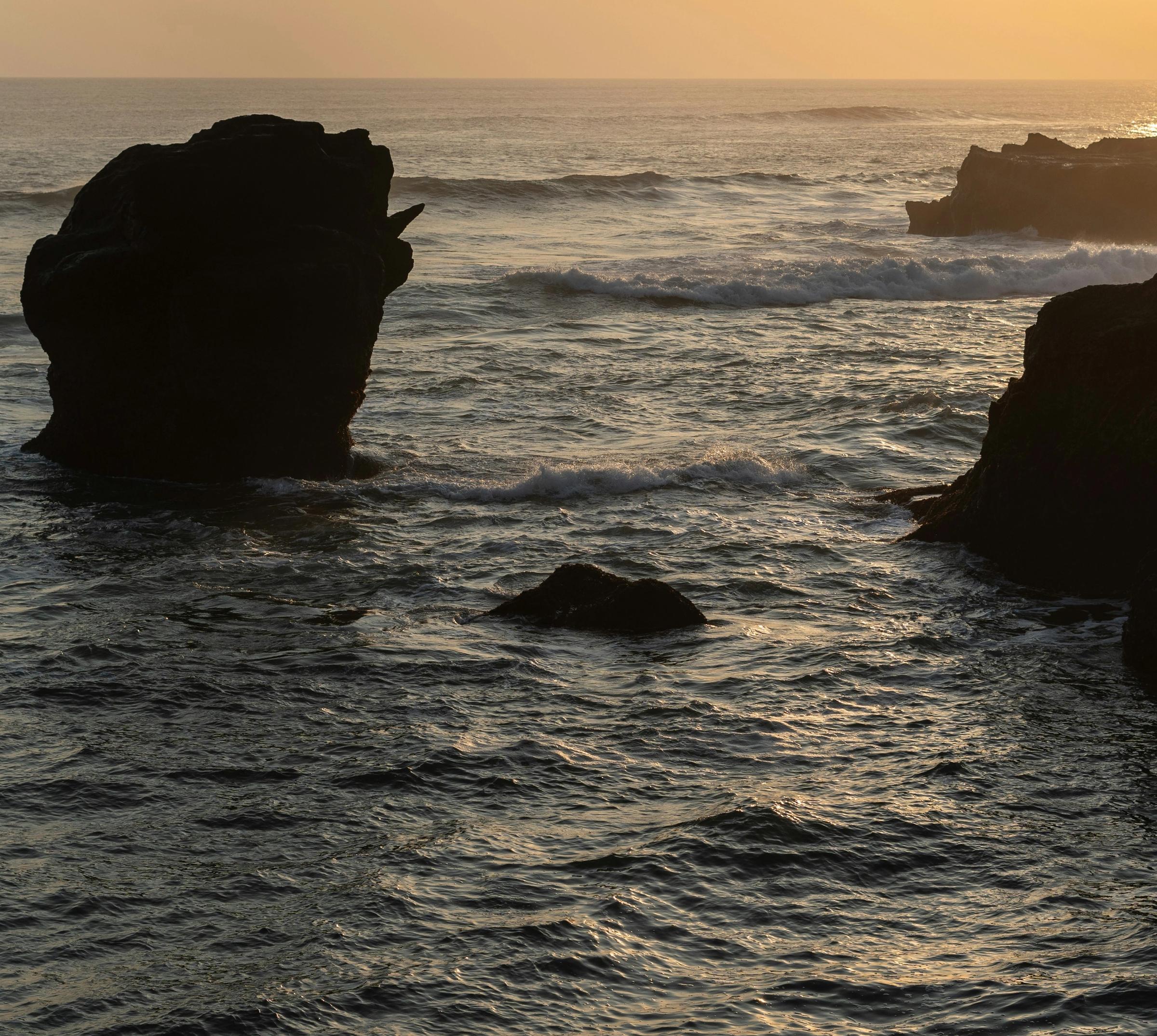 Build From Within™ by Barbara den Bak