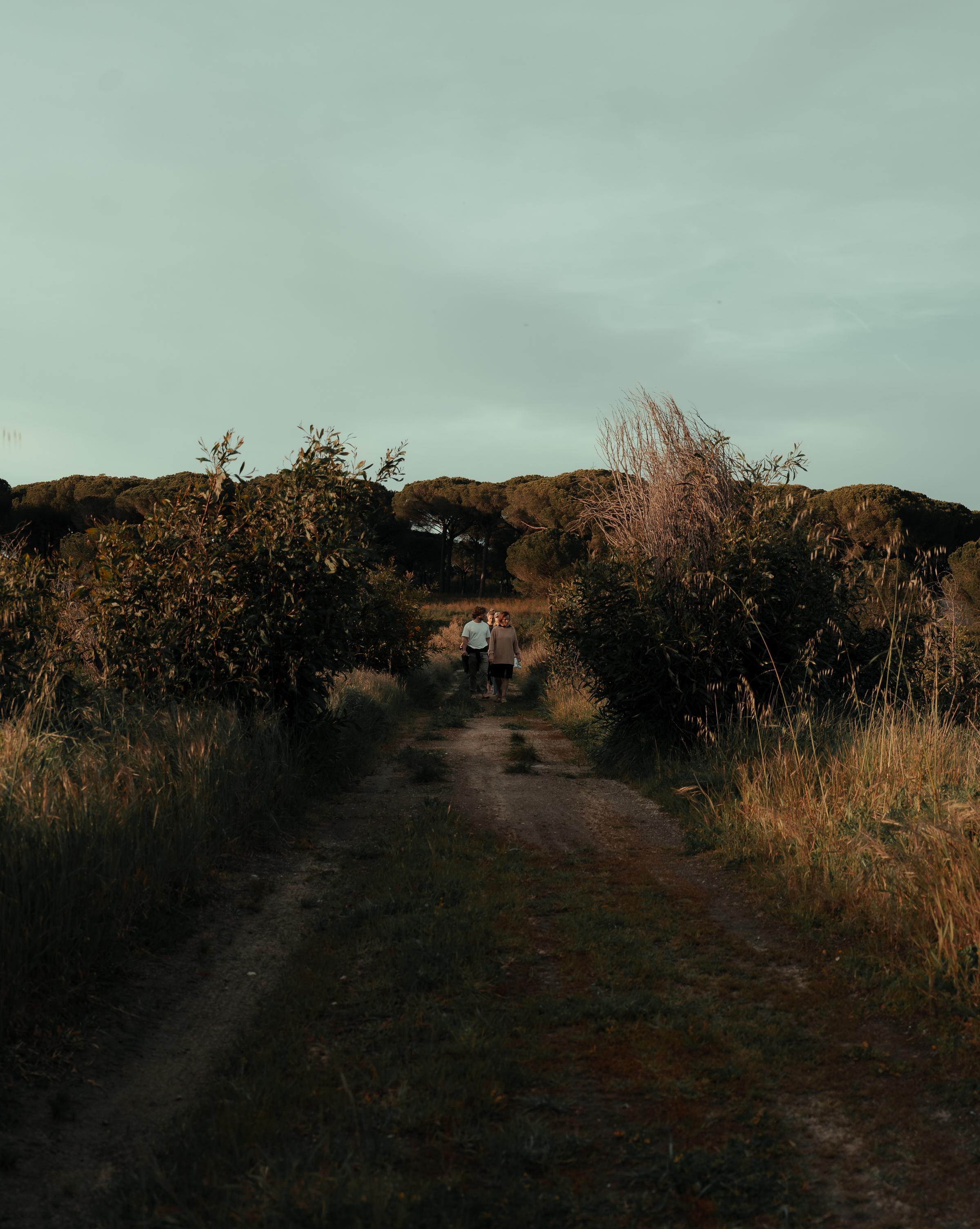 A group of people hiking through a scenic landscape, enjoying nature and the outdoors as they embark on a journey of exploration and teamwork.