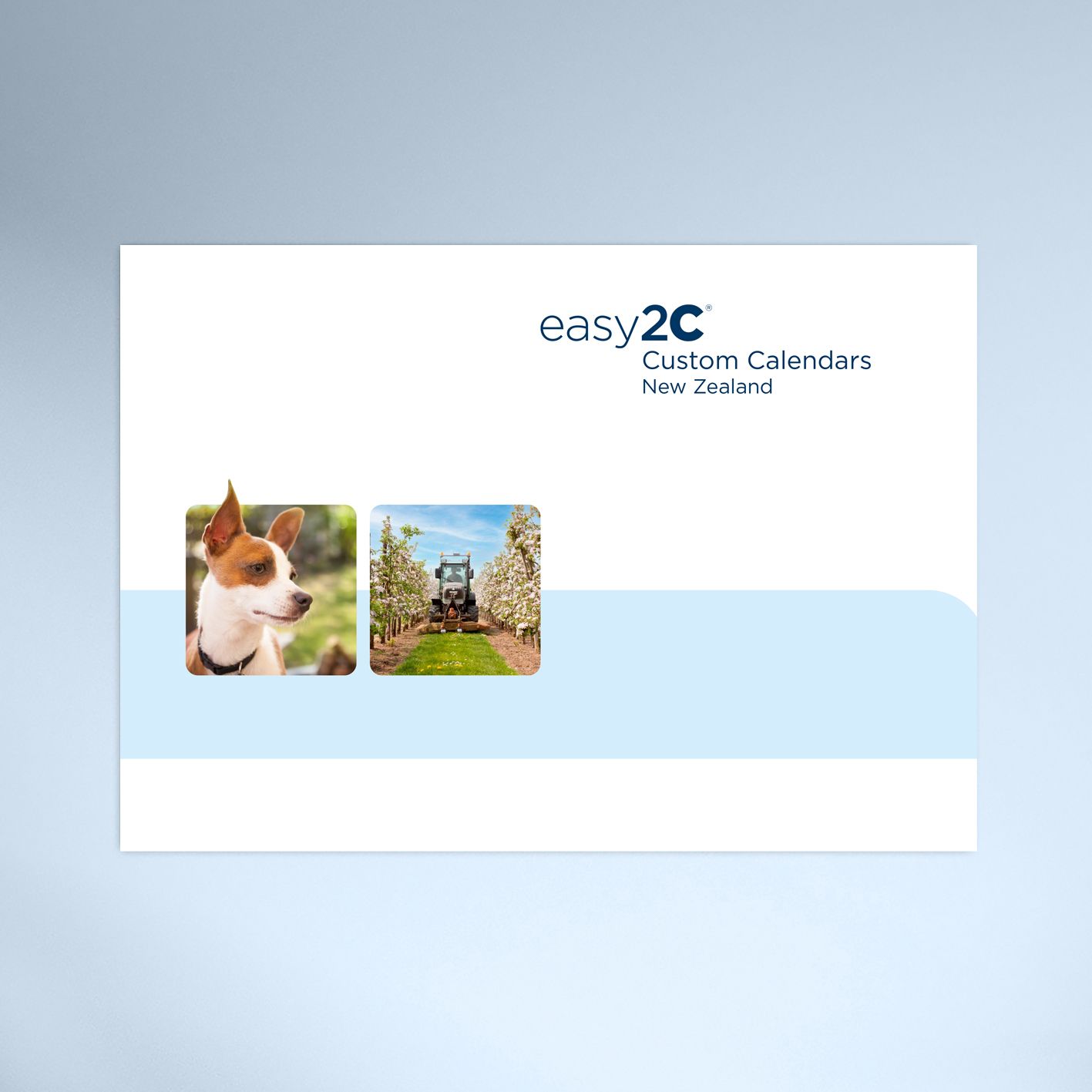 Custom Calendars Brochure - NZ