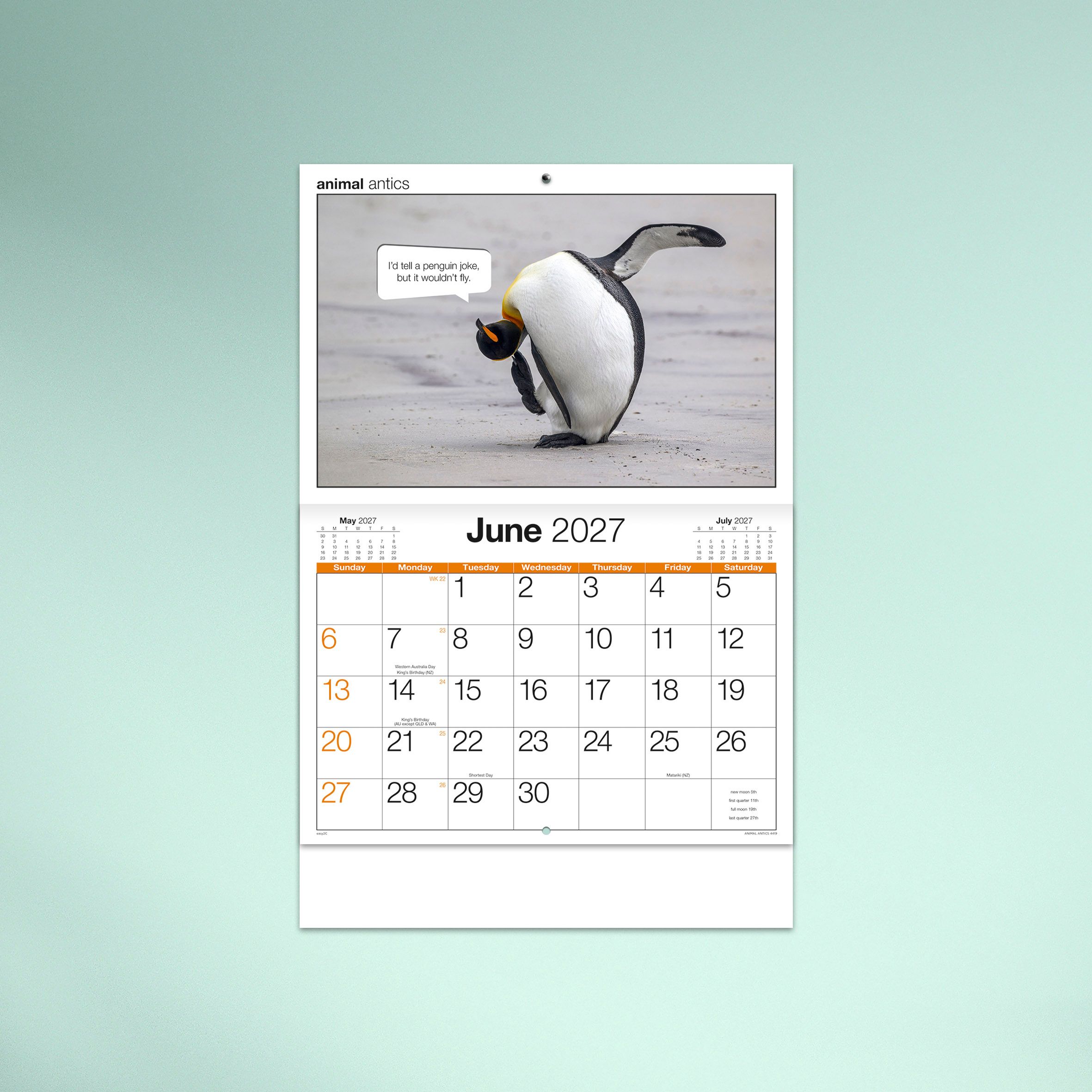 Animal_Antics_26_4419_TEXT_06 JUN