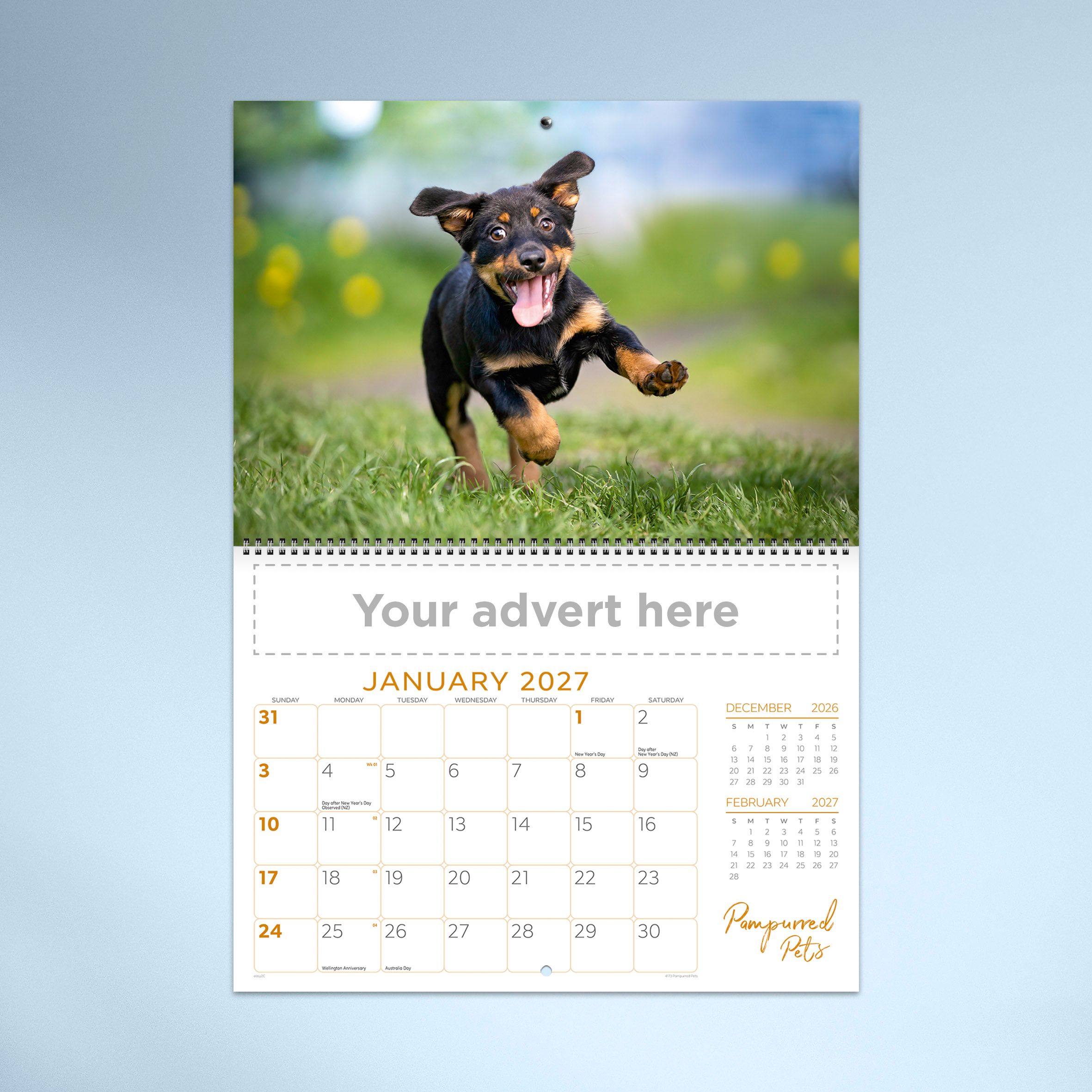 Pampurred_Pets_26_4173_TEXT_01 HERO