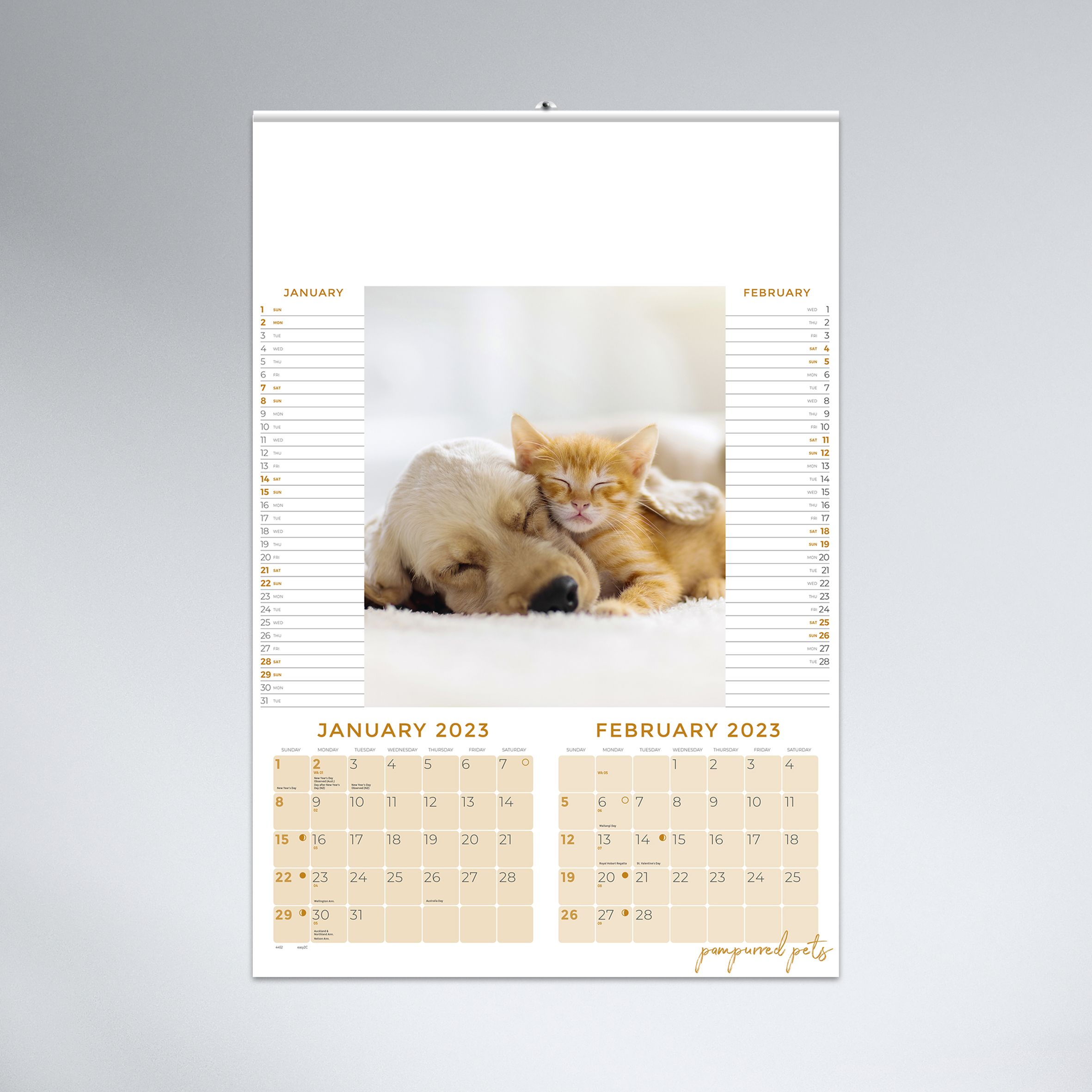 Pampurred Pets_Grey_Hero