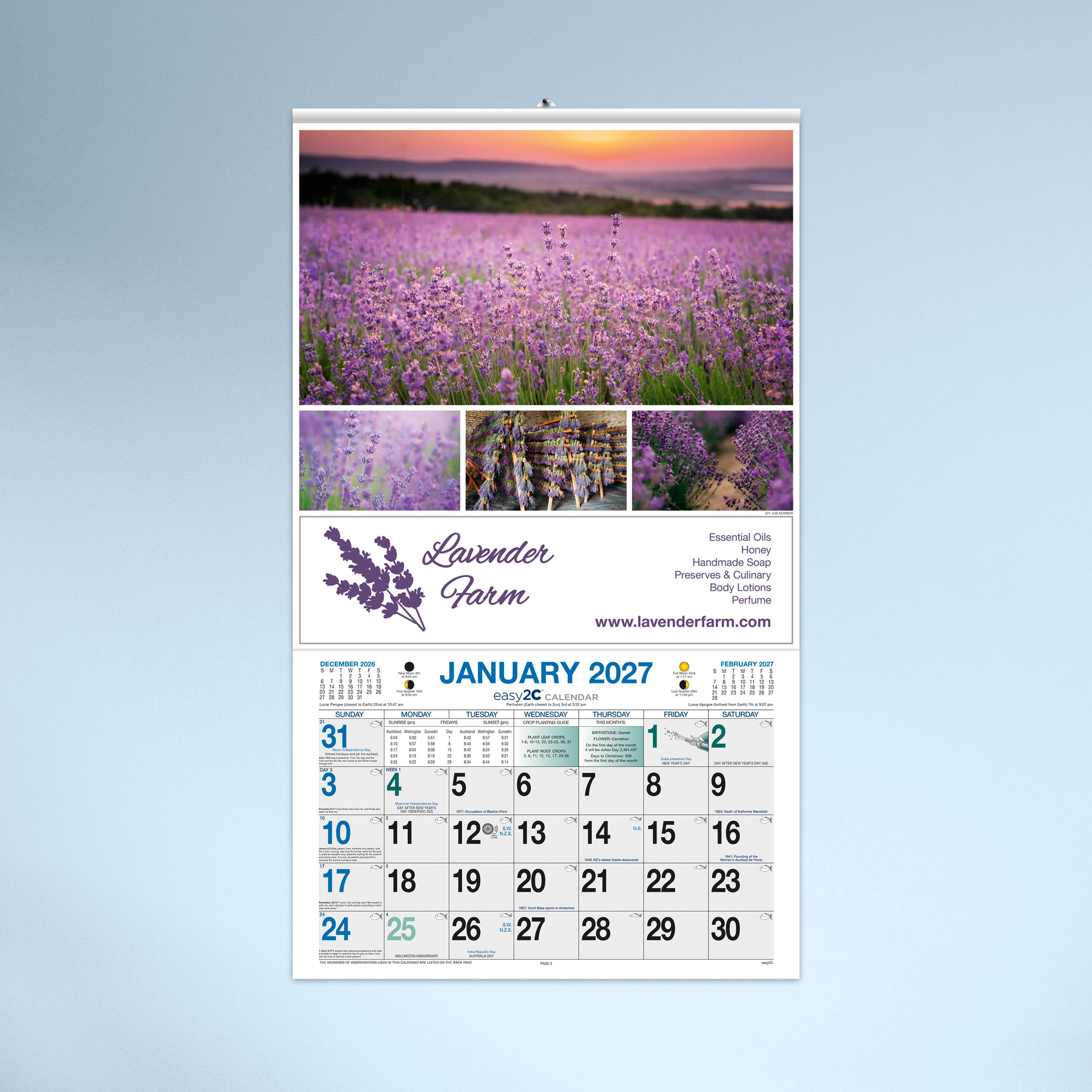 Standard Hanger_4739B fixed B_N1_27