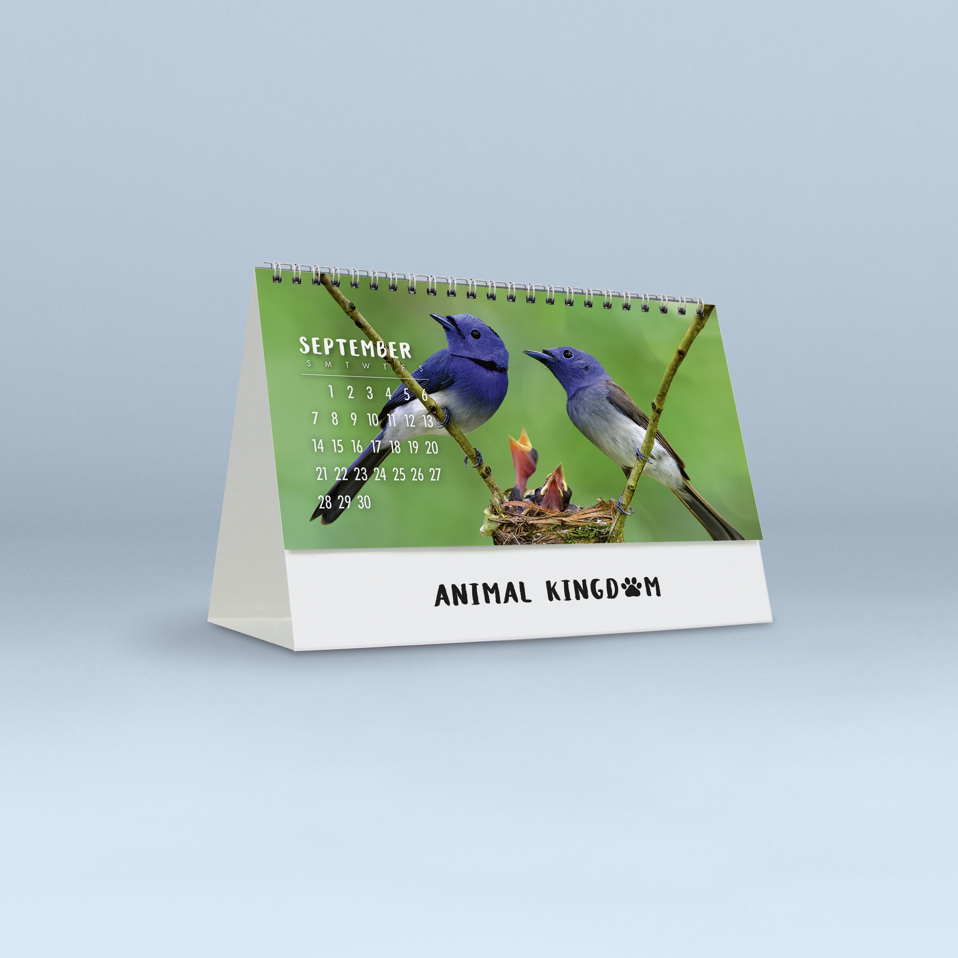 Animal Kingdom_4257_25_18
