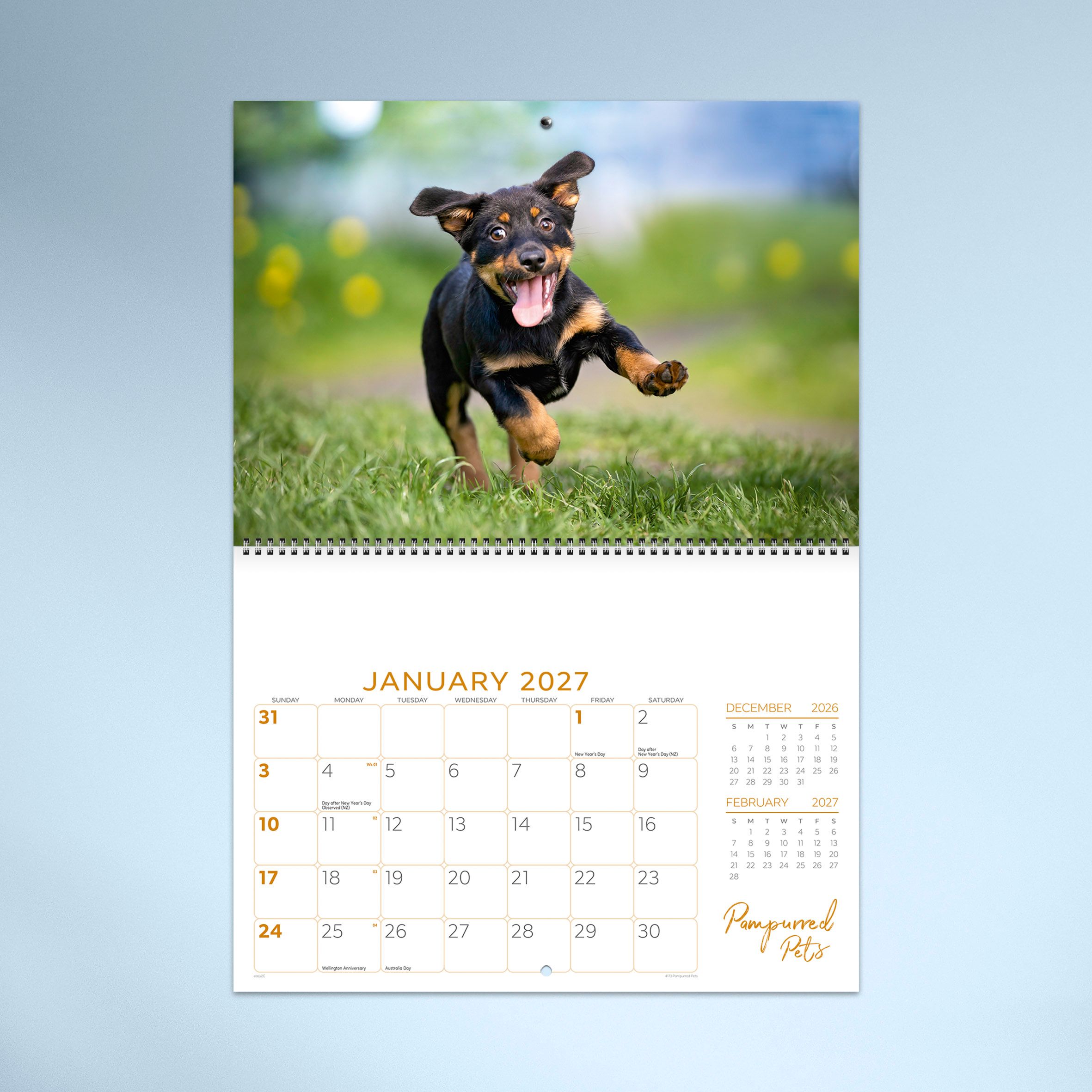 Pampurred_Pets_26_4173_TEXT_01 JAN